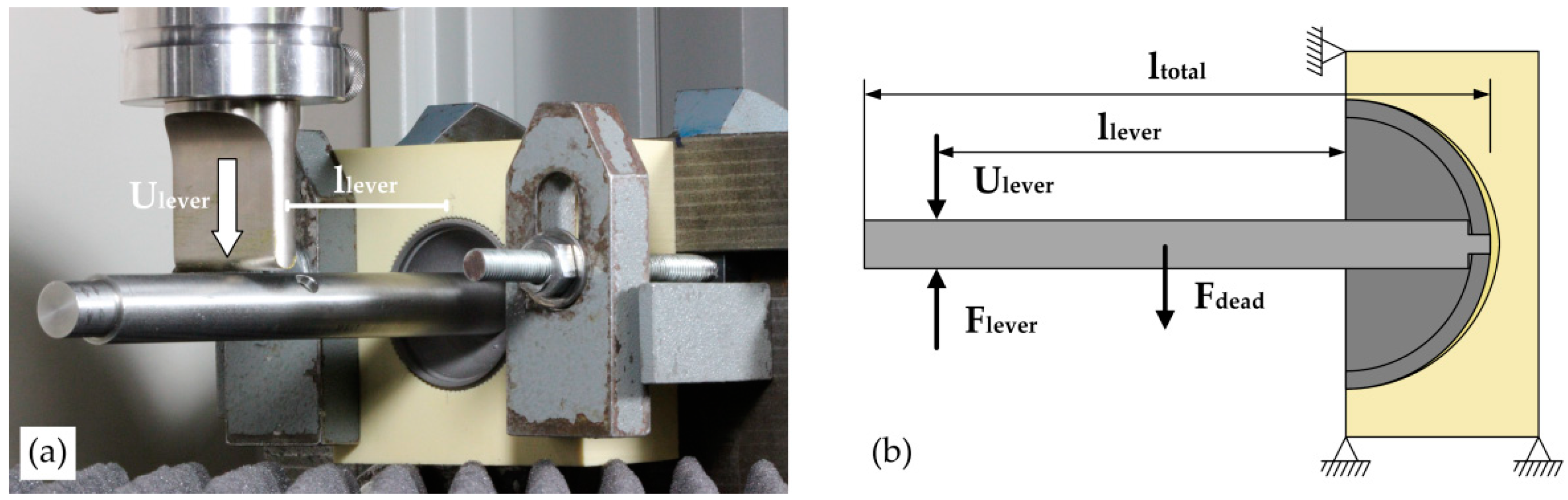 Materials 13 03982 g002