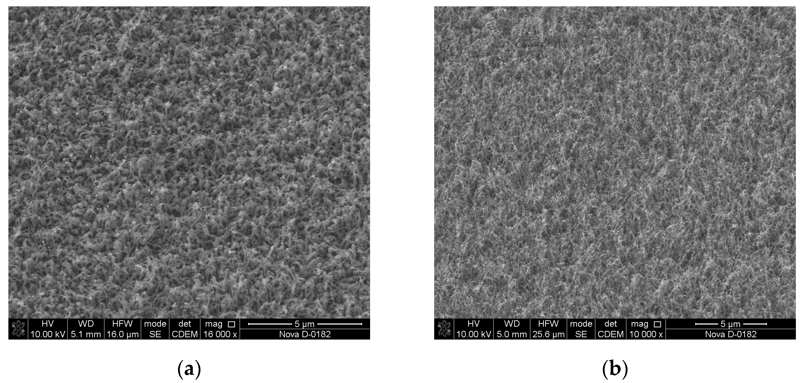 Materials 13 03984 g009