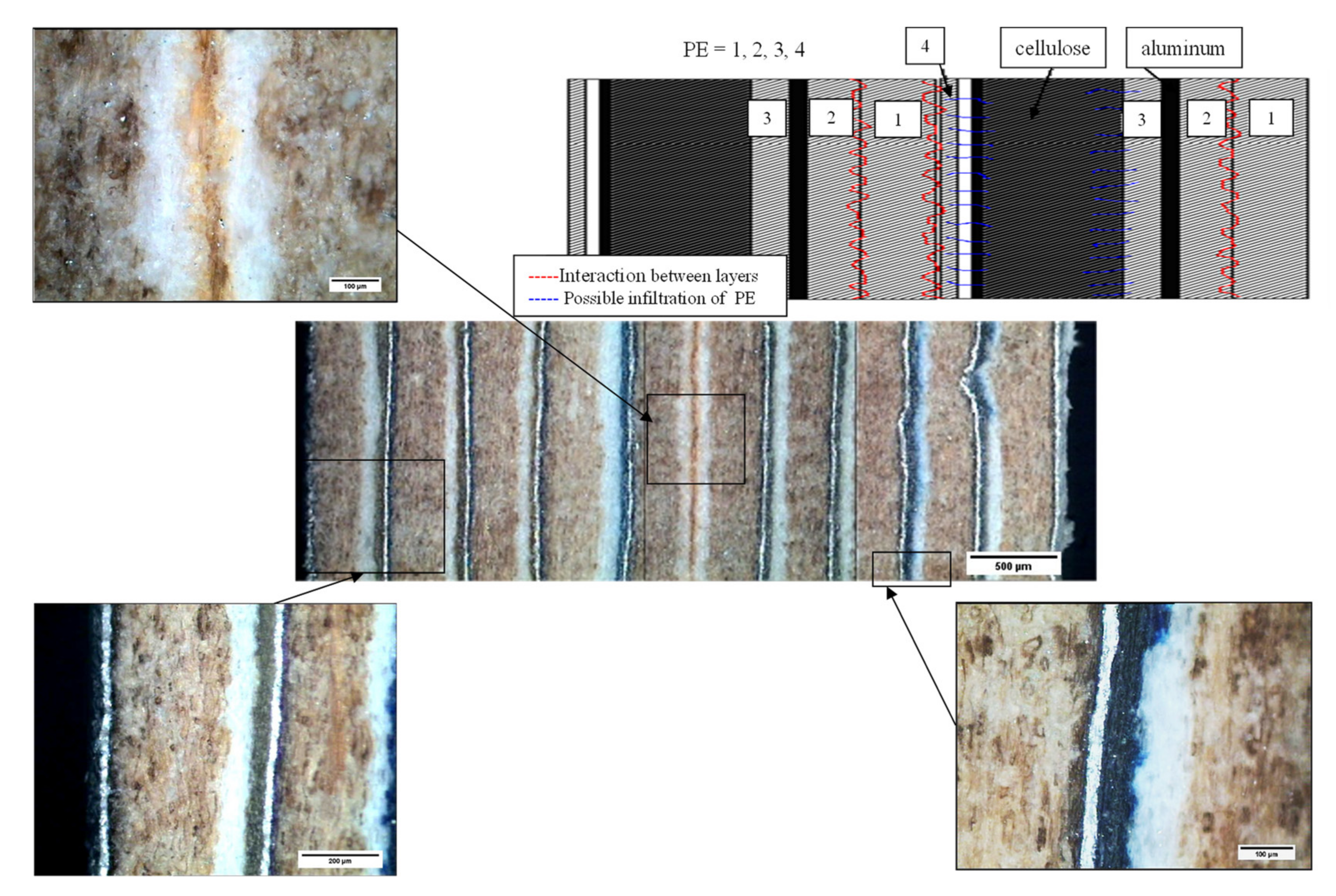 Materials 13 03992 g017