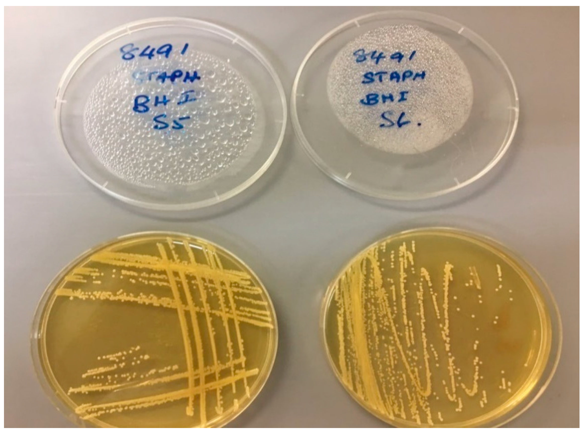 Materials 13 04023 g009