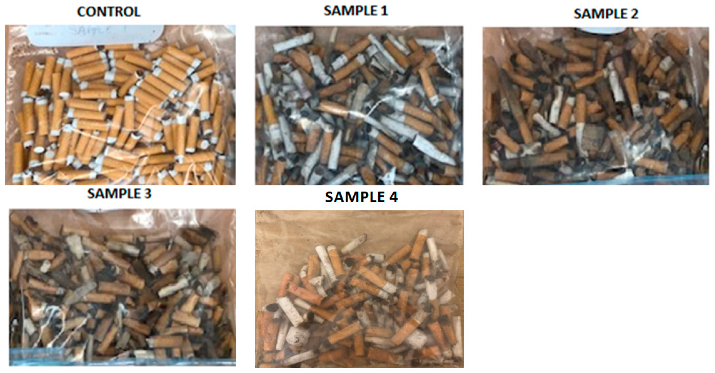 Materials 13 04023 g010