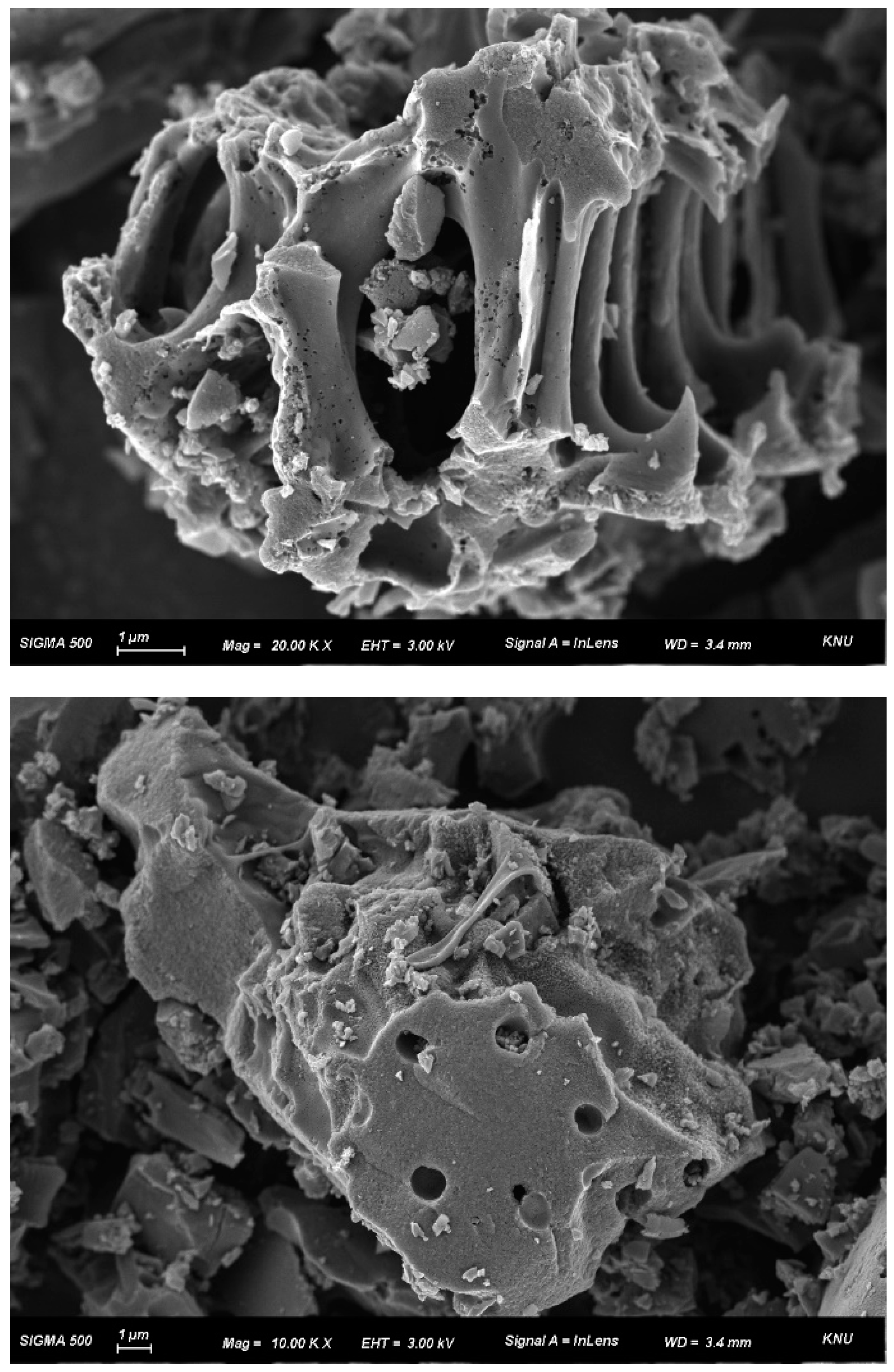 Materials 13 04038 g001