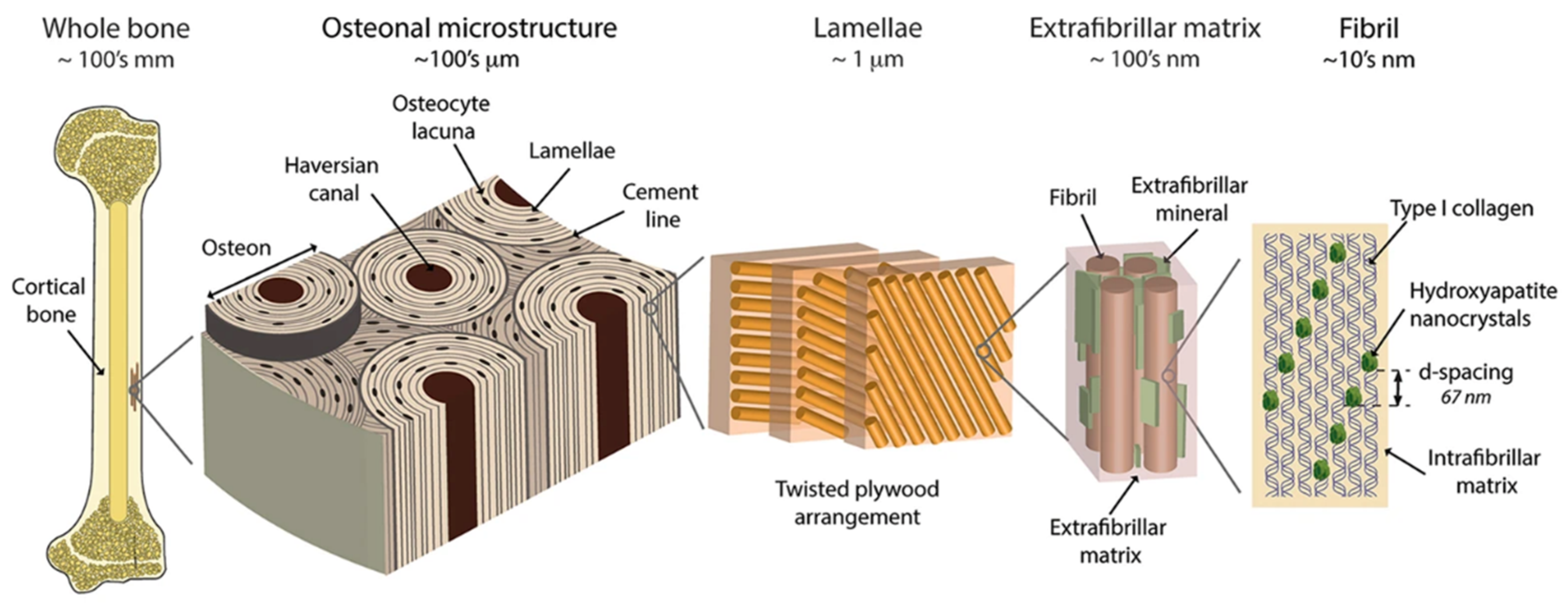 Materials 13 04039 g002