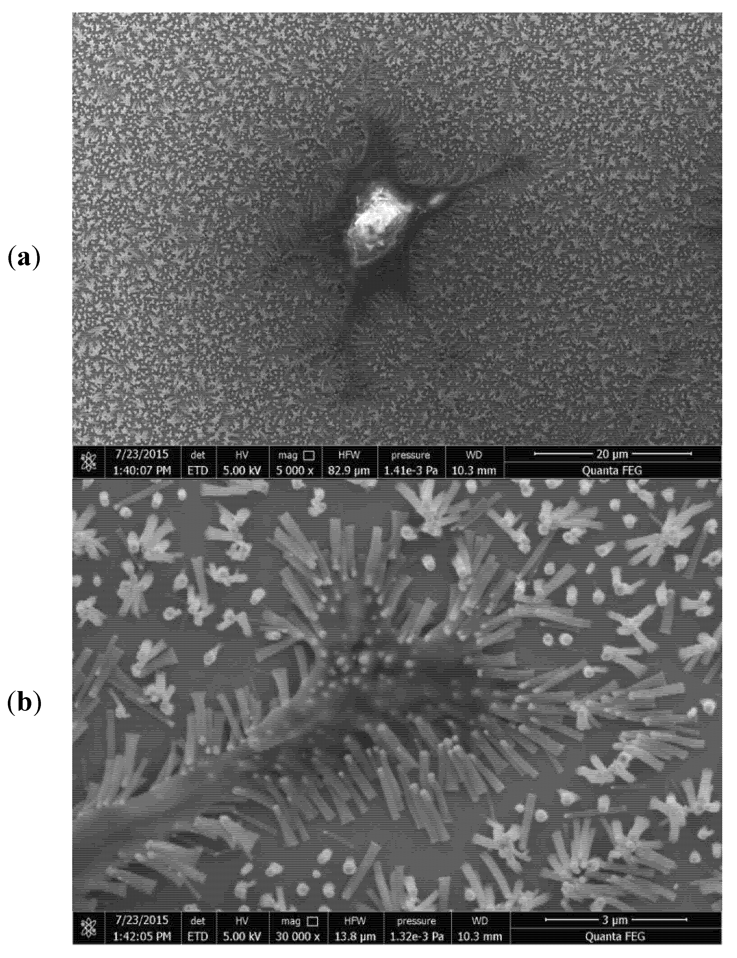 Materials 13 04039 g003