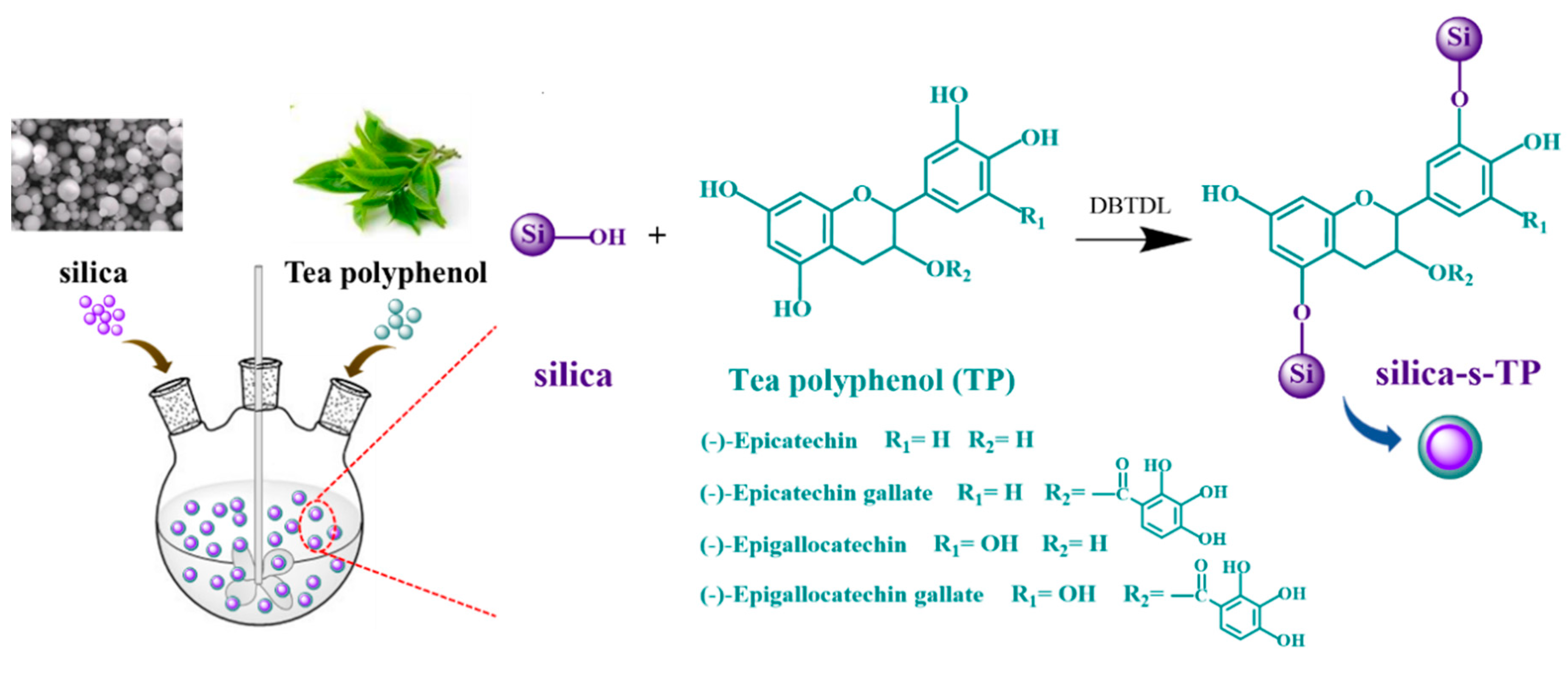 Materials 13 04045 g001