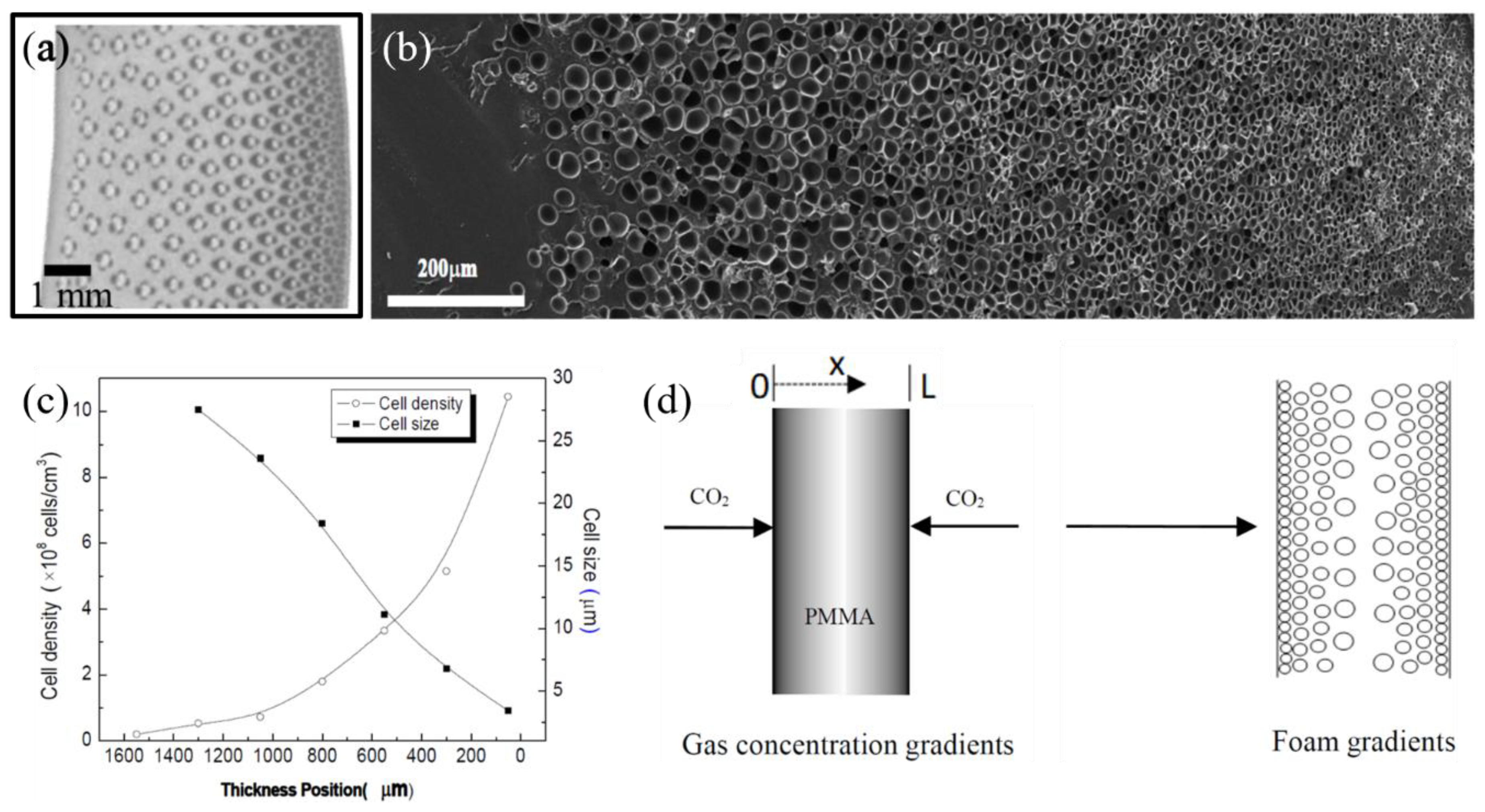 Materials 13 04060 g004