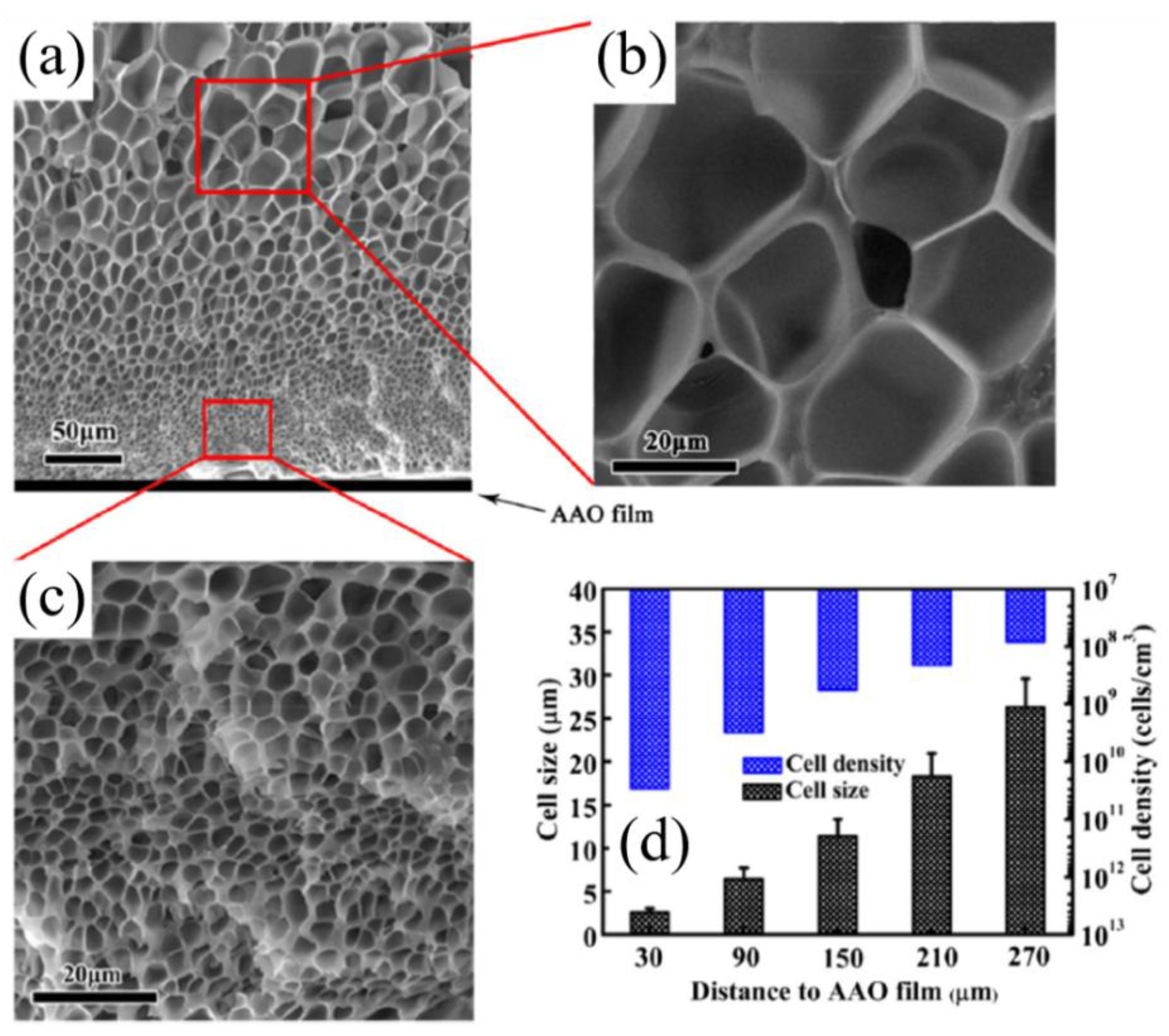 Materials 13 04060 g006