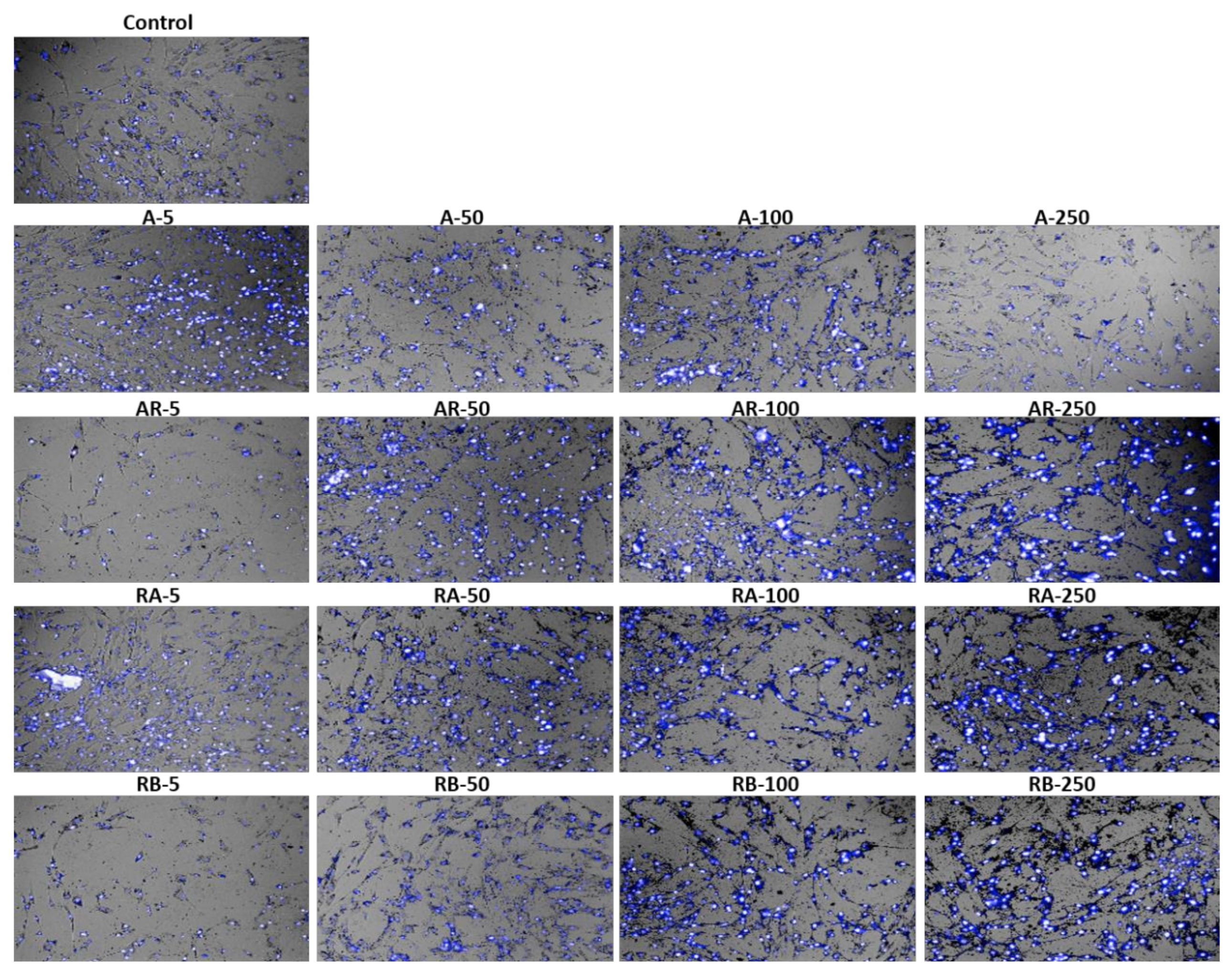 Materials 13 04071 g006