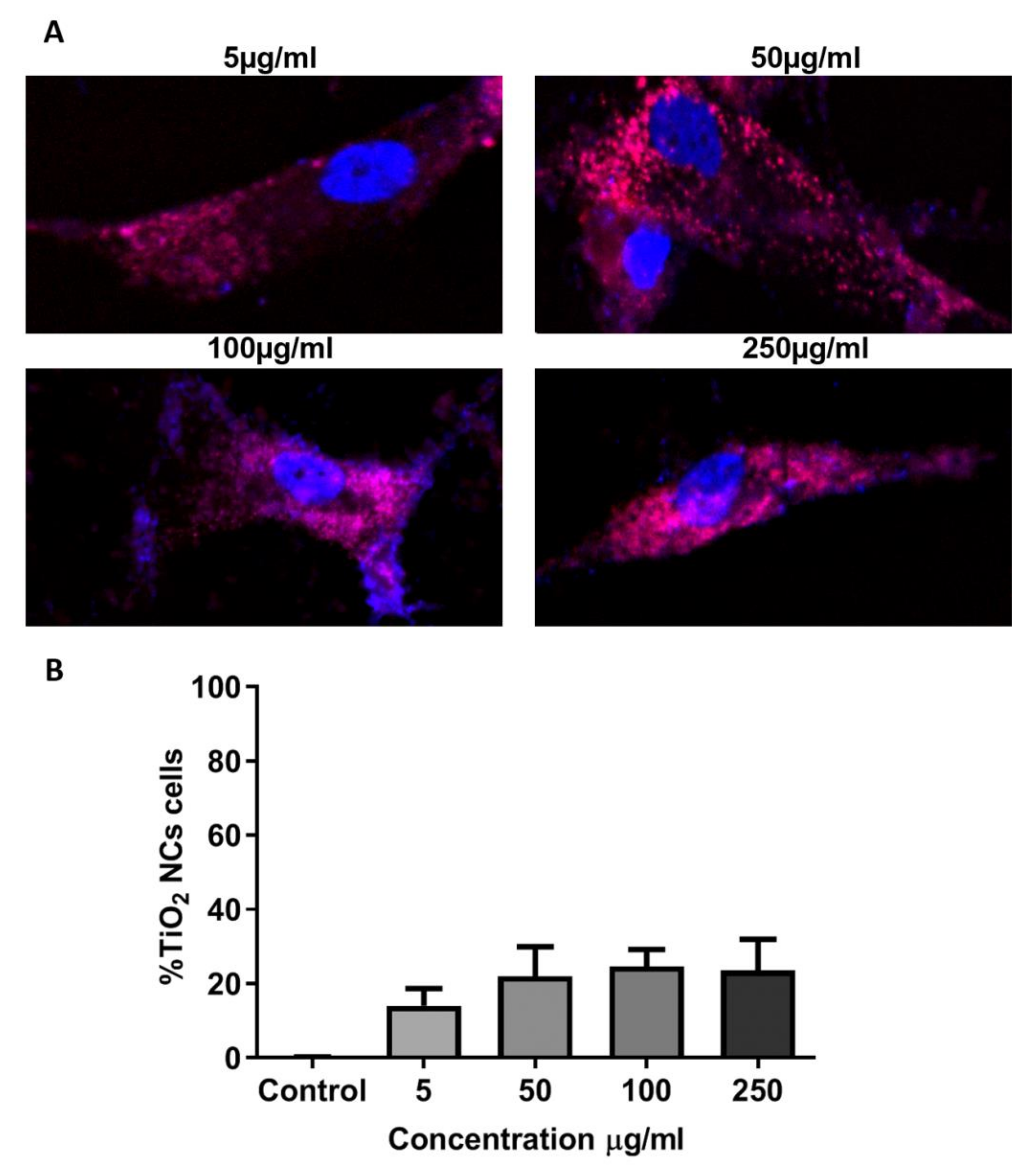 Materials 13 04071 g008