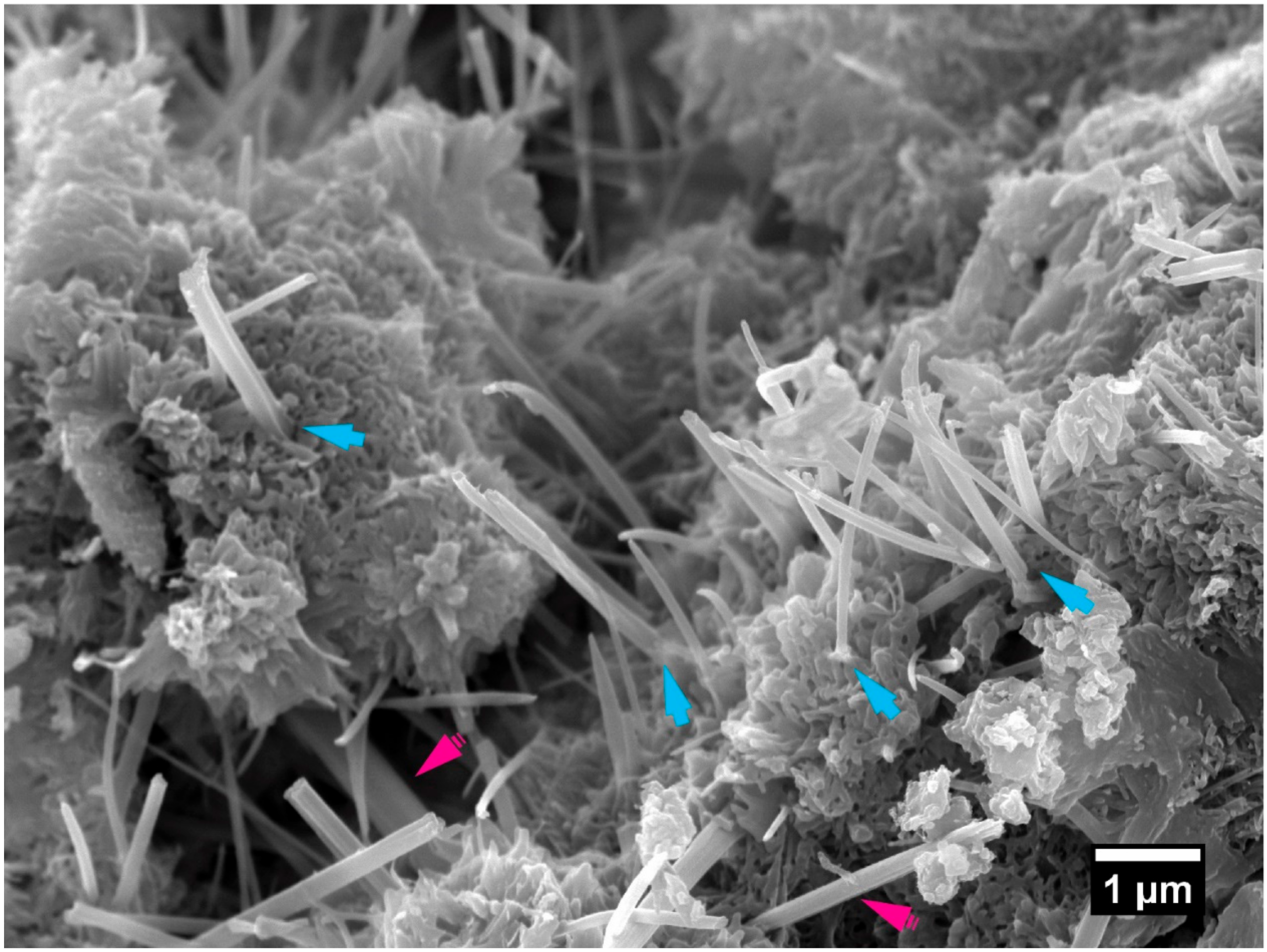 Materials 13 04097 g007