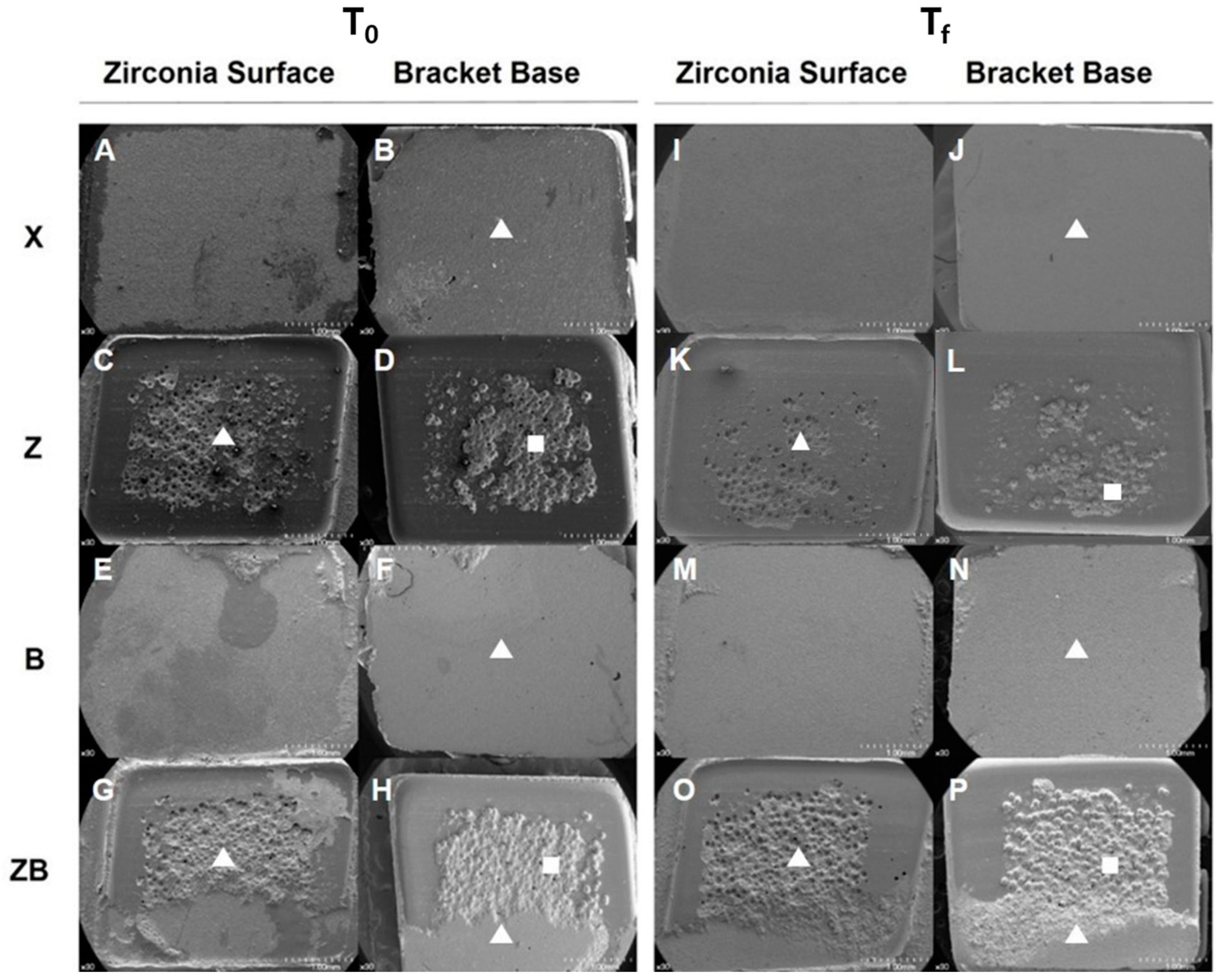 Materials 13 04106 g004 Materials 13 04106 g004