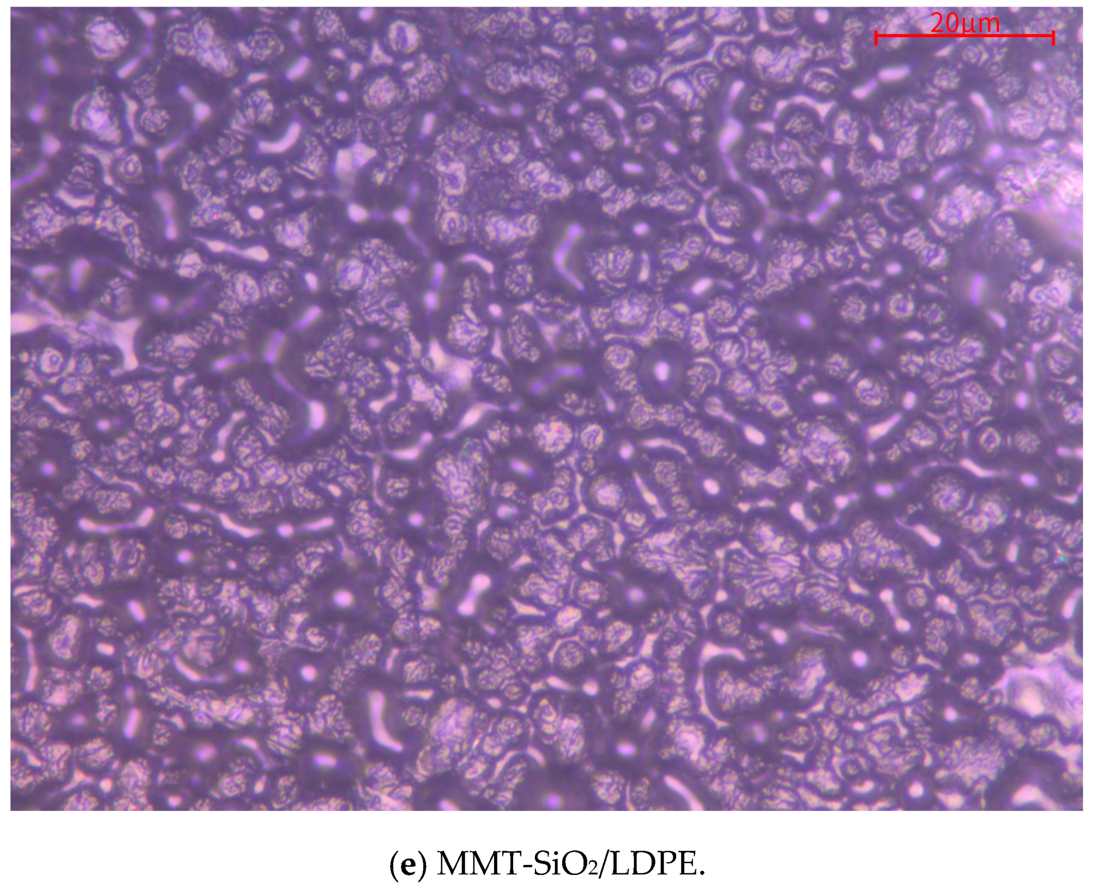 Materials 13 04119 g003c