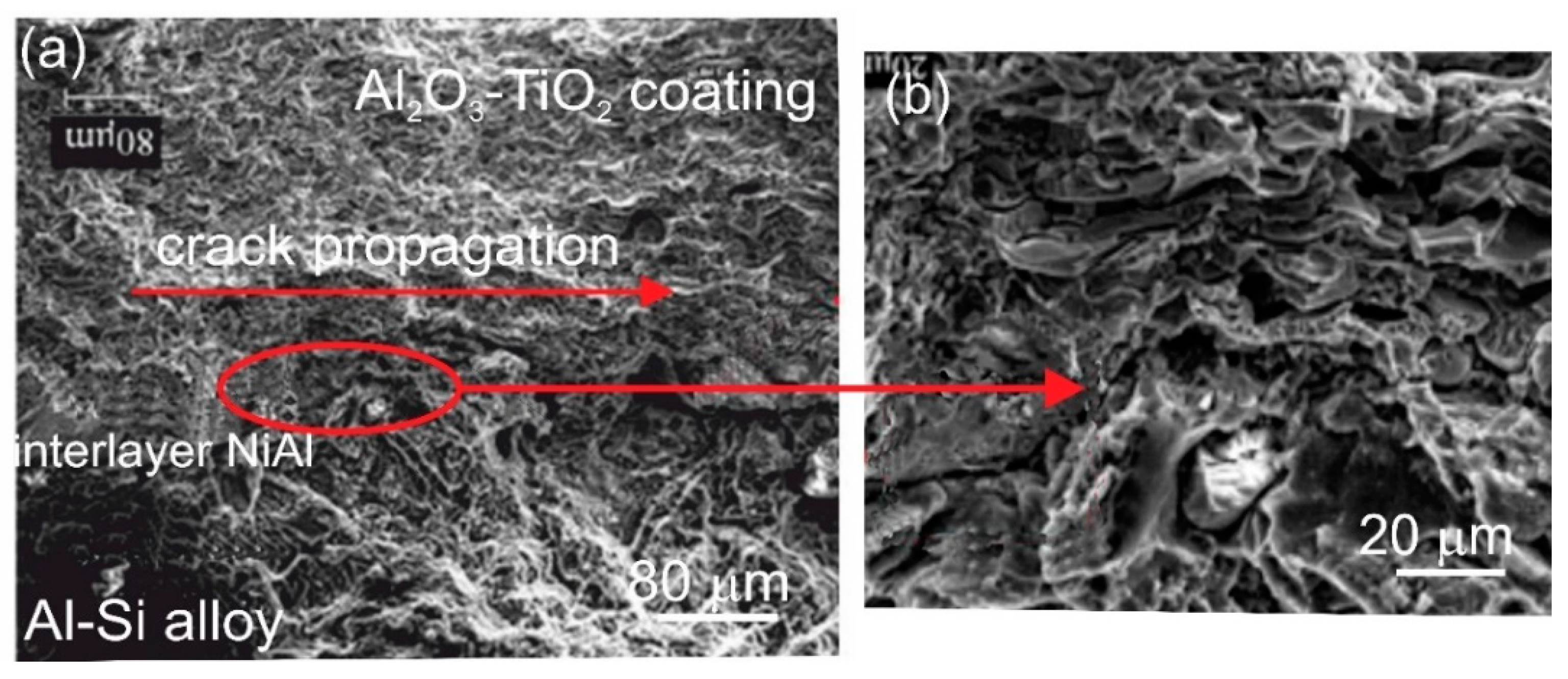 Materials 13 04122 g010
