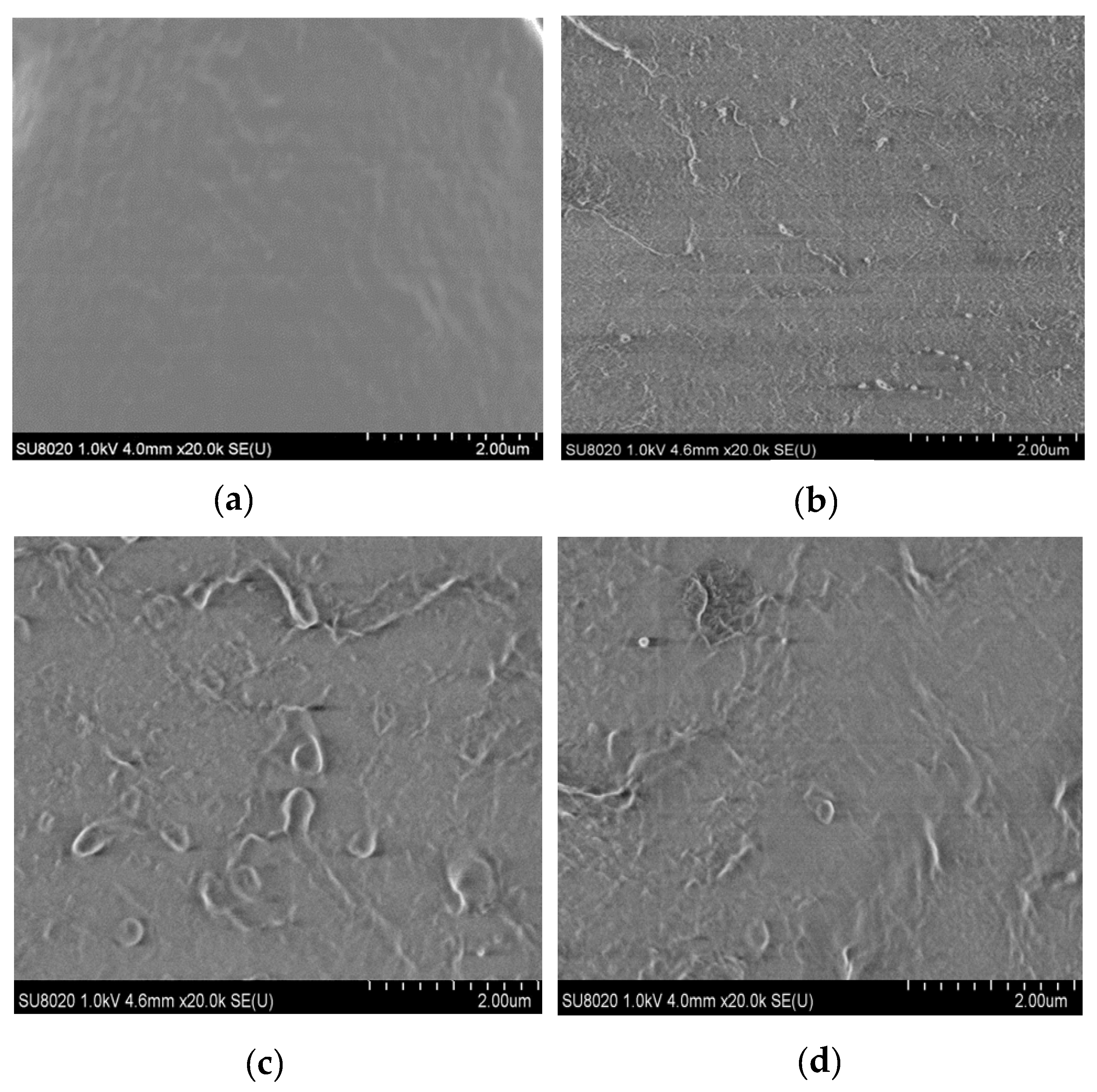 Materials 13 04136 g001