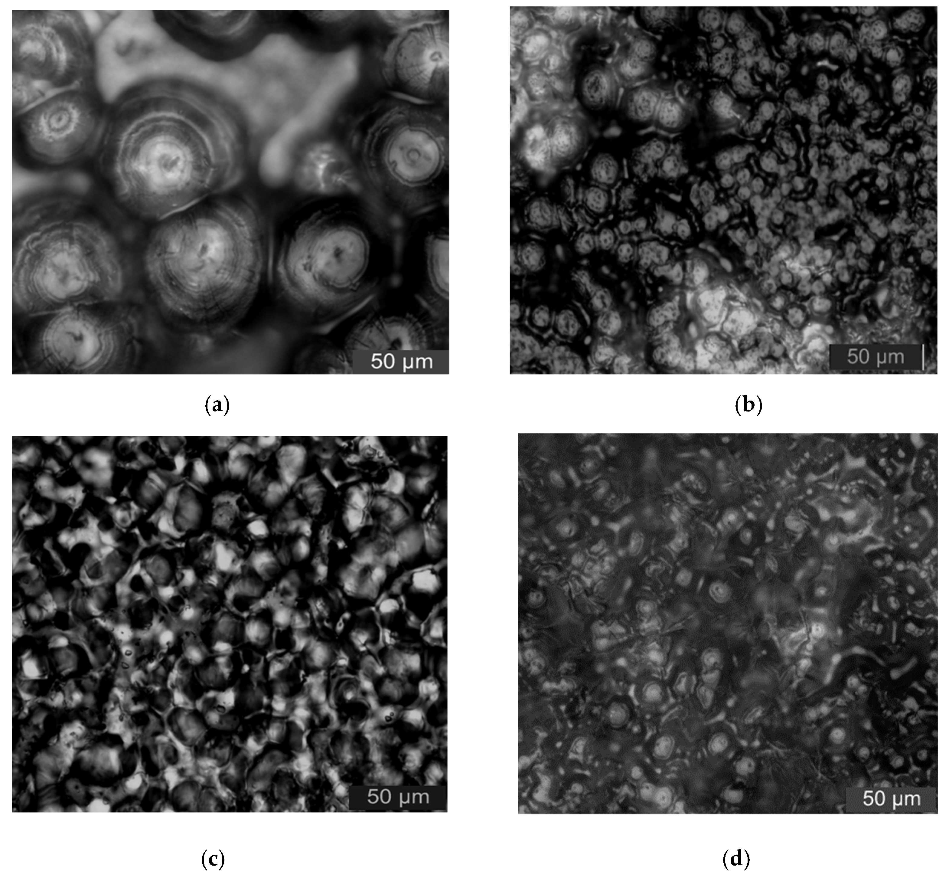 Materials 13 04136 g002