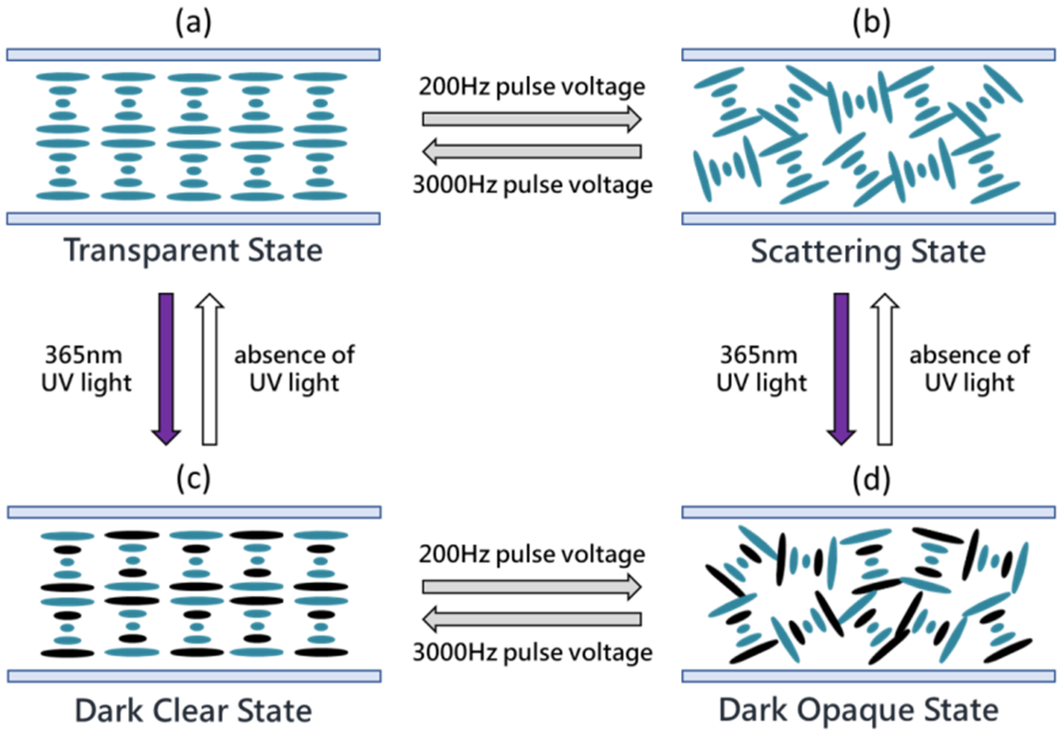 Materials 13 04137 g003
