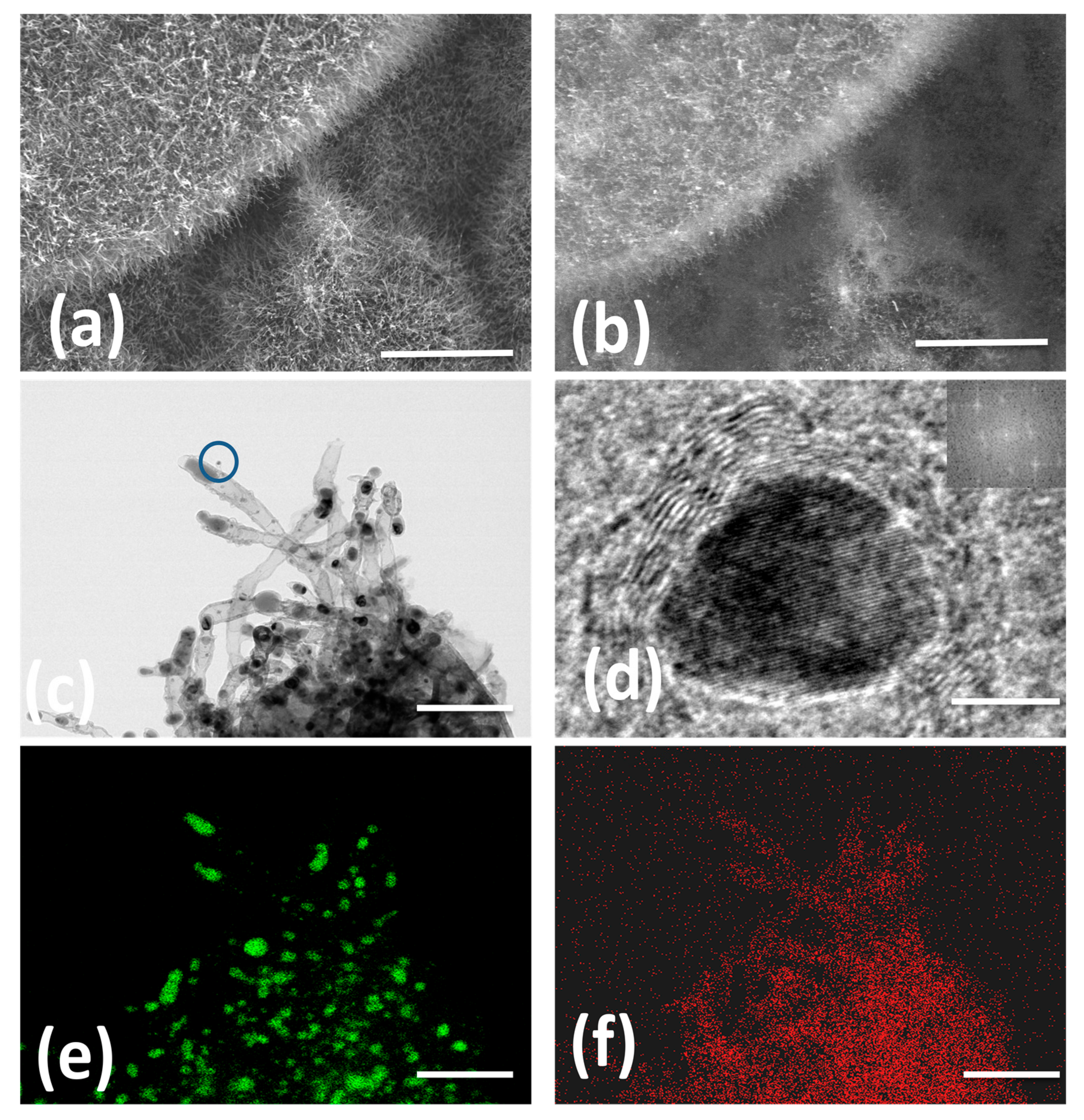 Materials 13 04144 g001