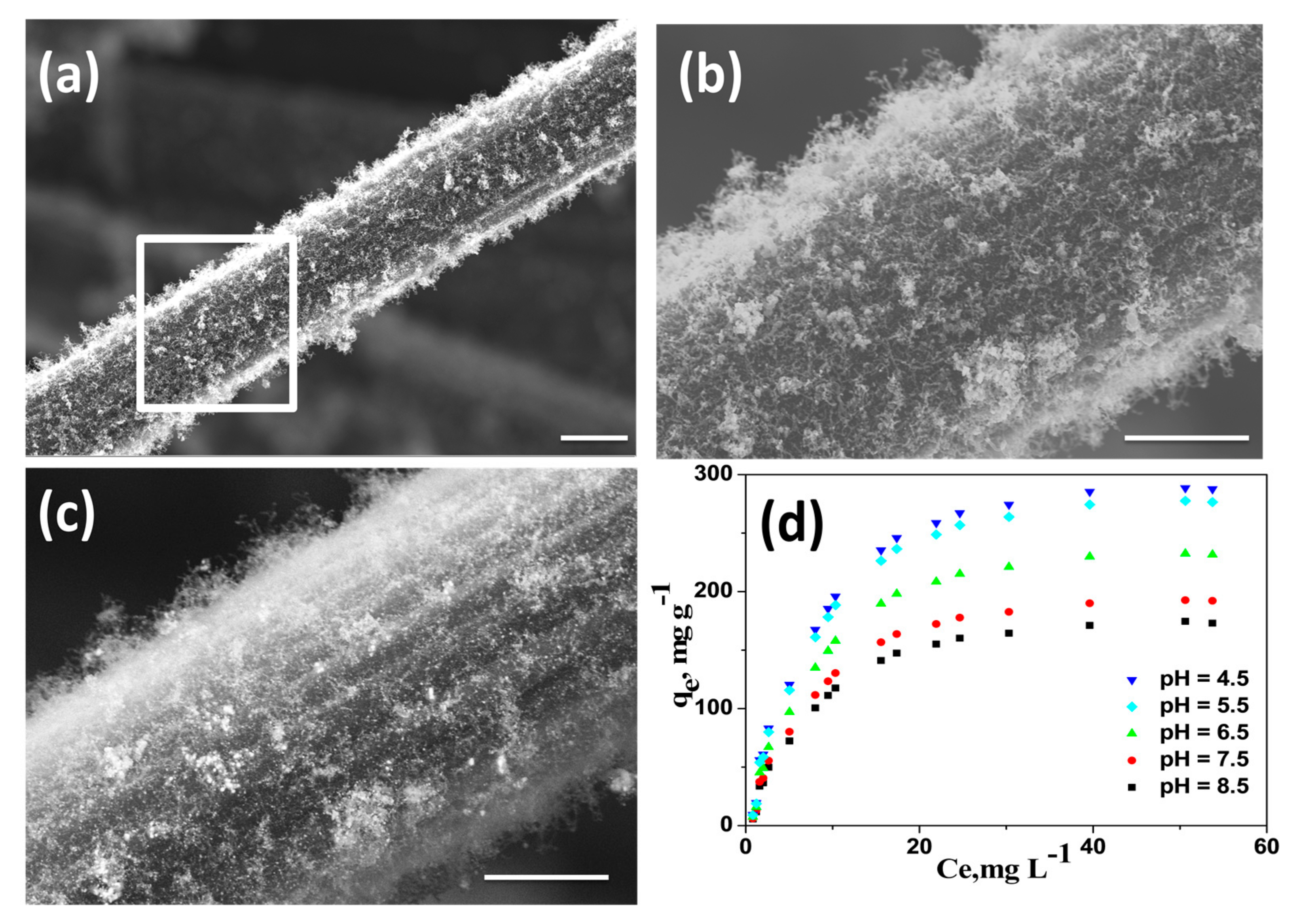 Materials 13 04144 g004