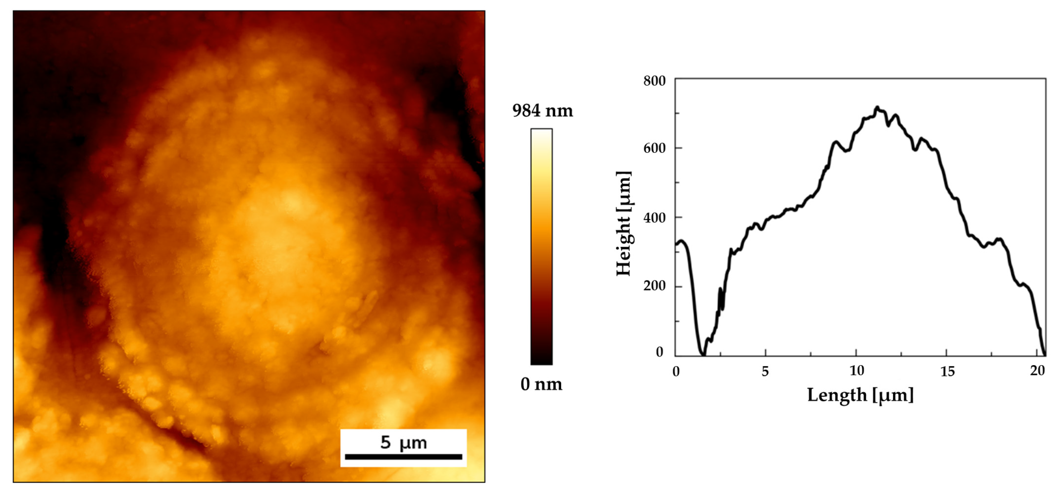 Materials 13 04145 g005