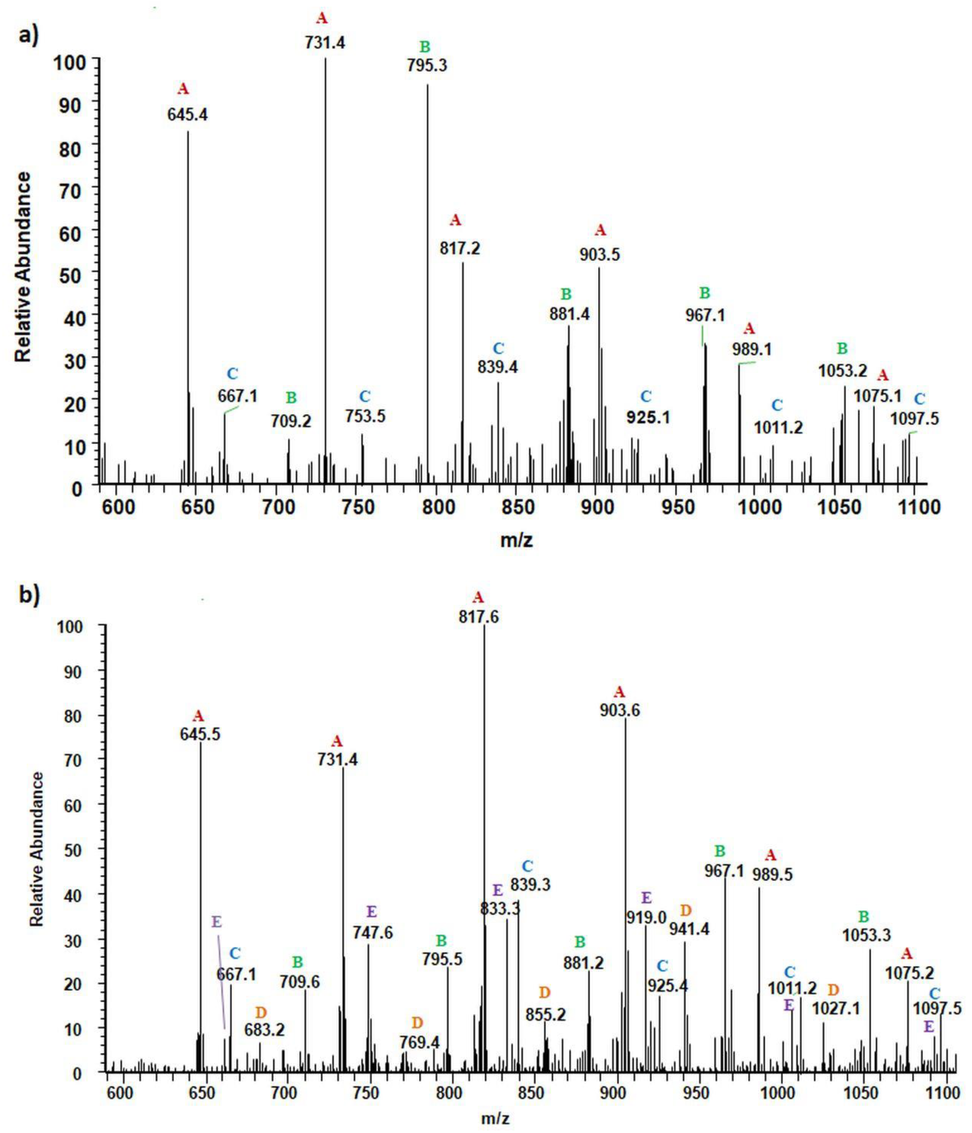 Materials 13 04153 g003
