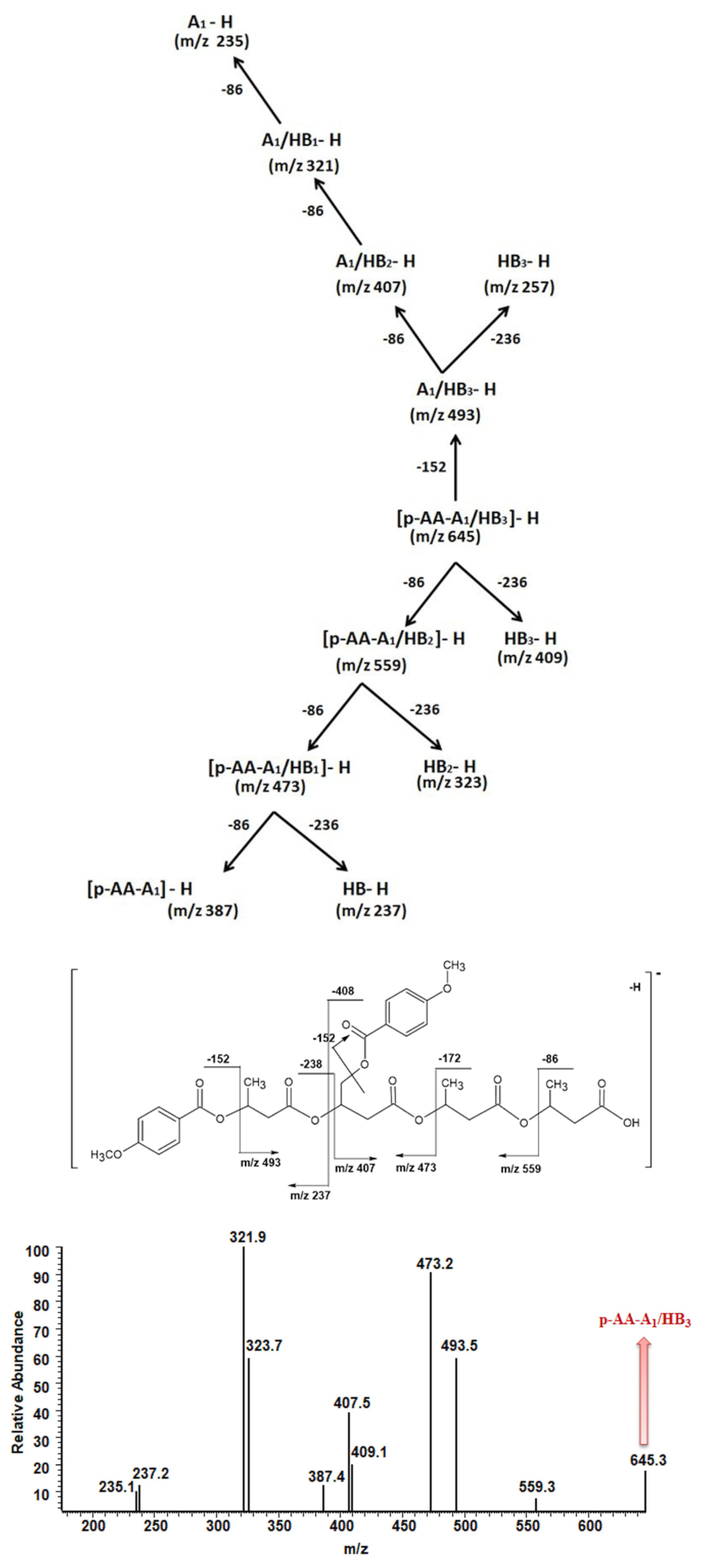 Materials 13 04153 g004