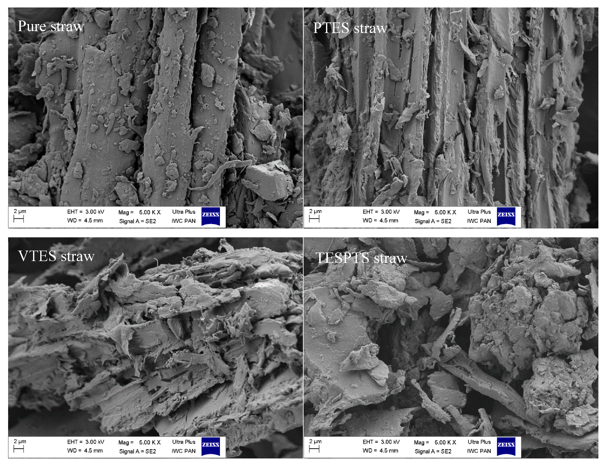 Materials 13 04163 g003