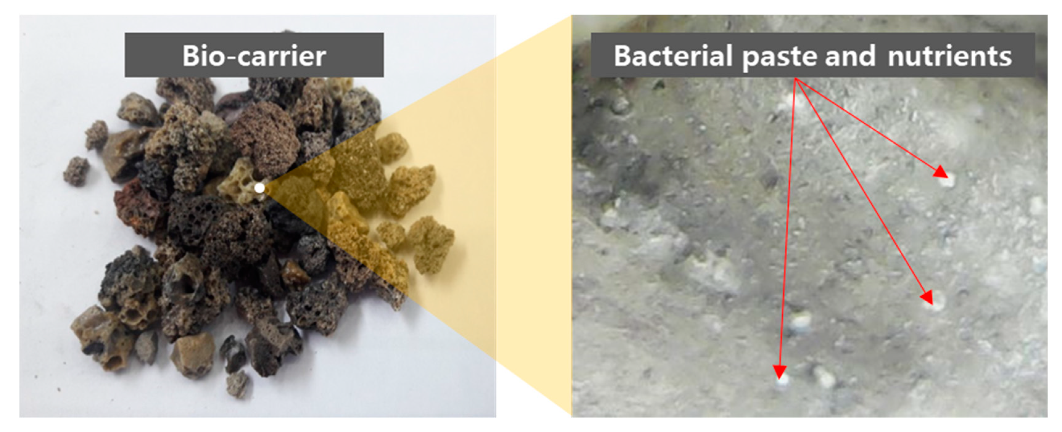 Materials 13 04164 g001