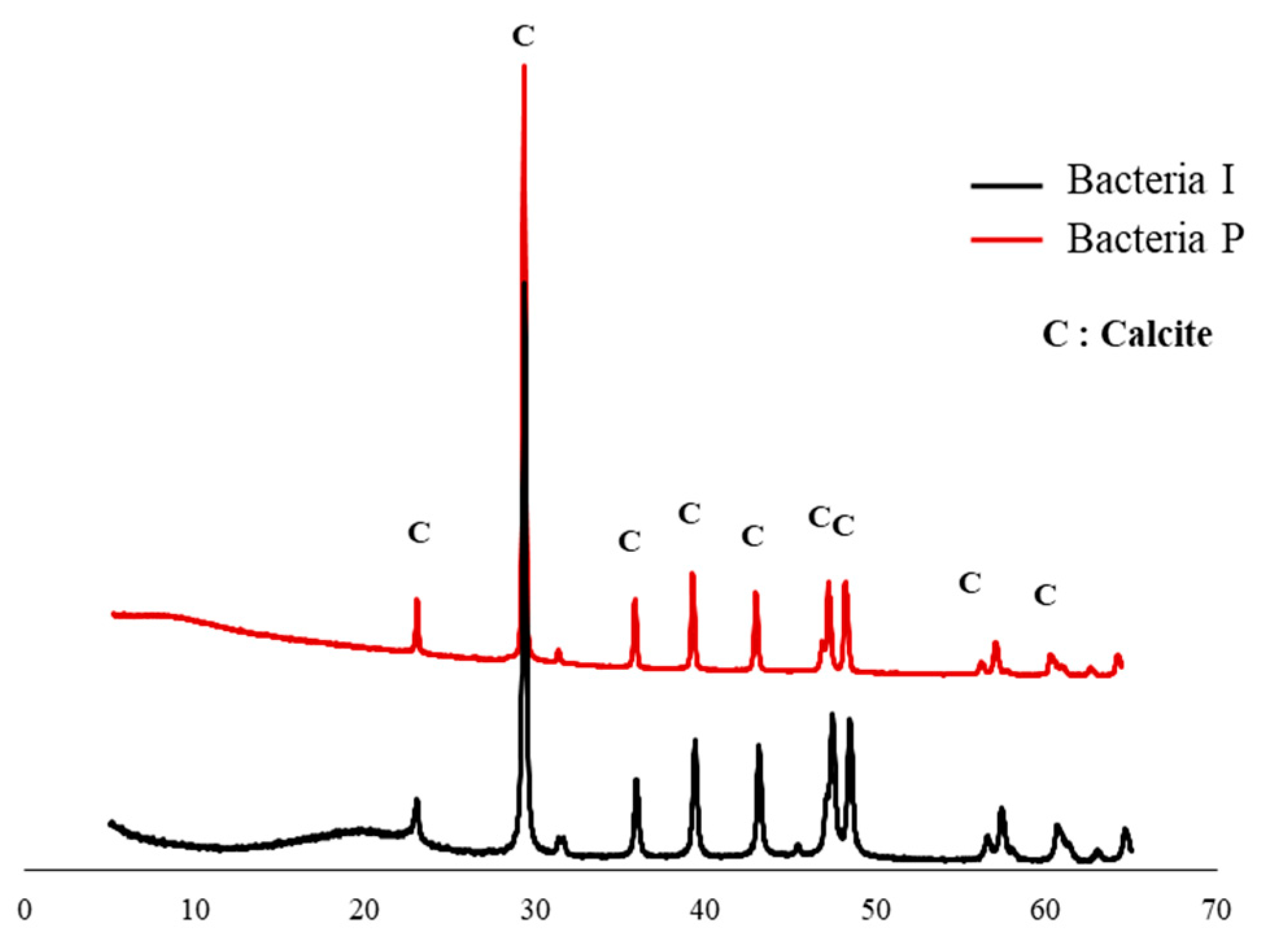 Materials 13 04164 g005