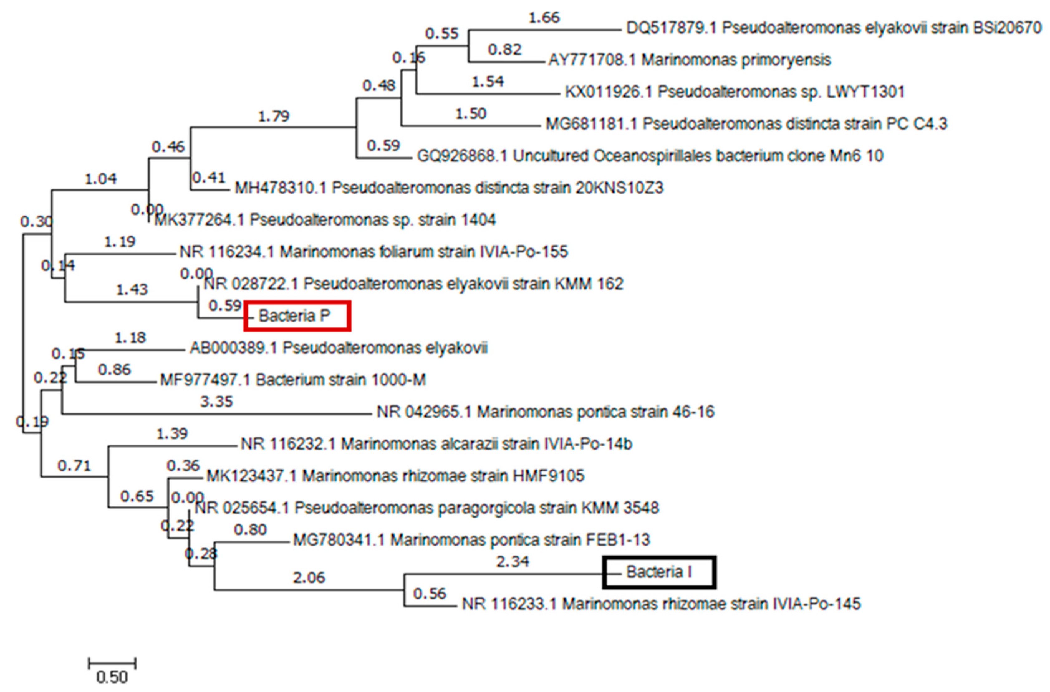 Materials 13 04164 g006