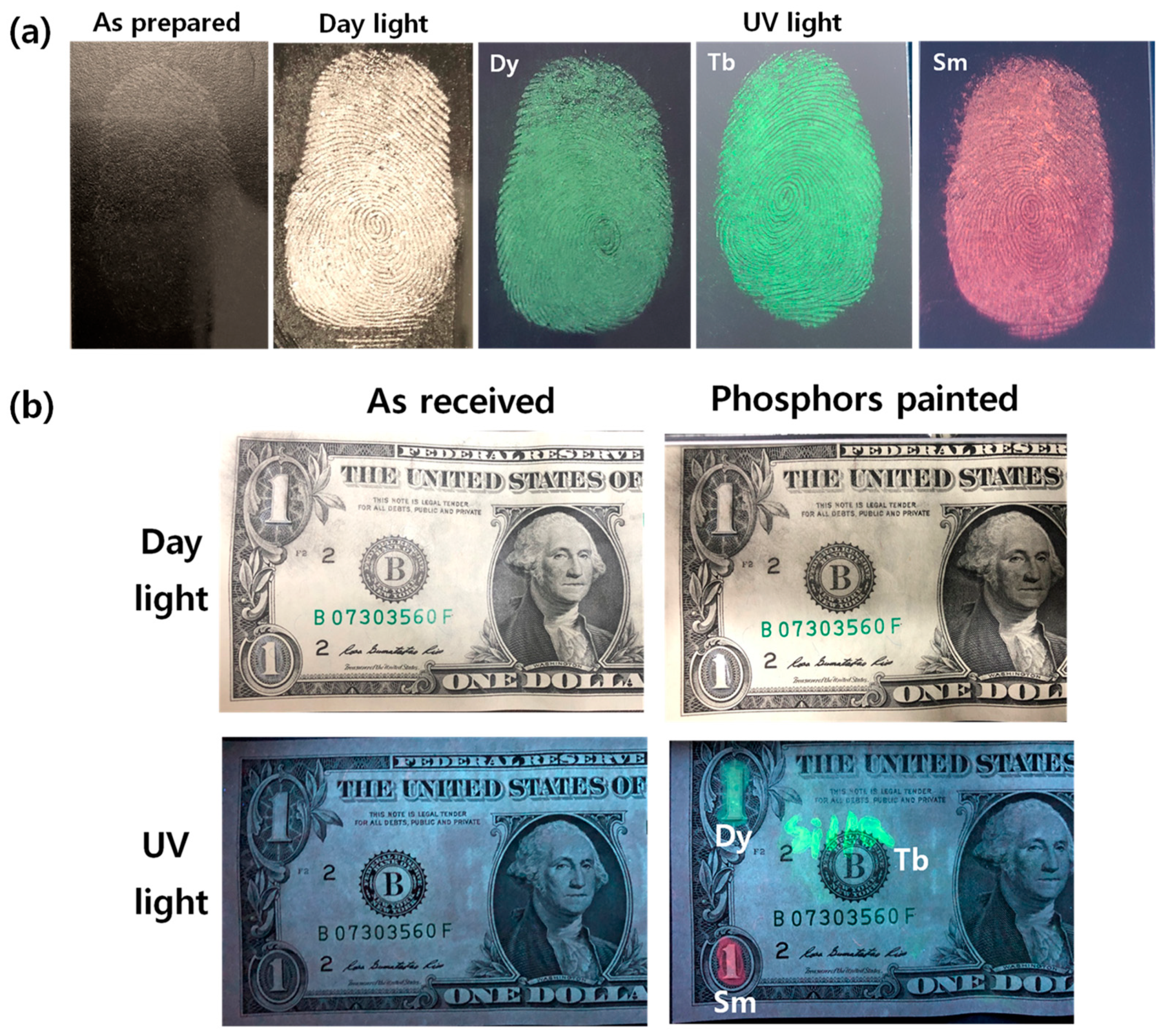 Materials 13 04165 g007