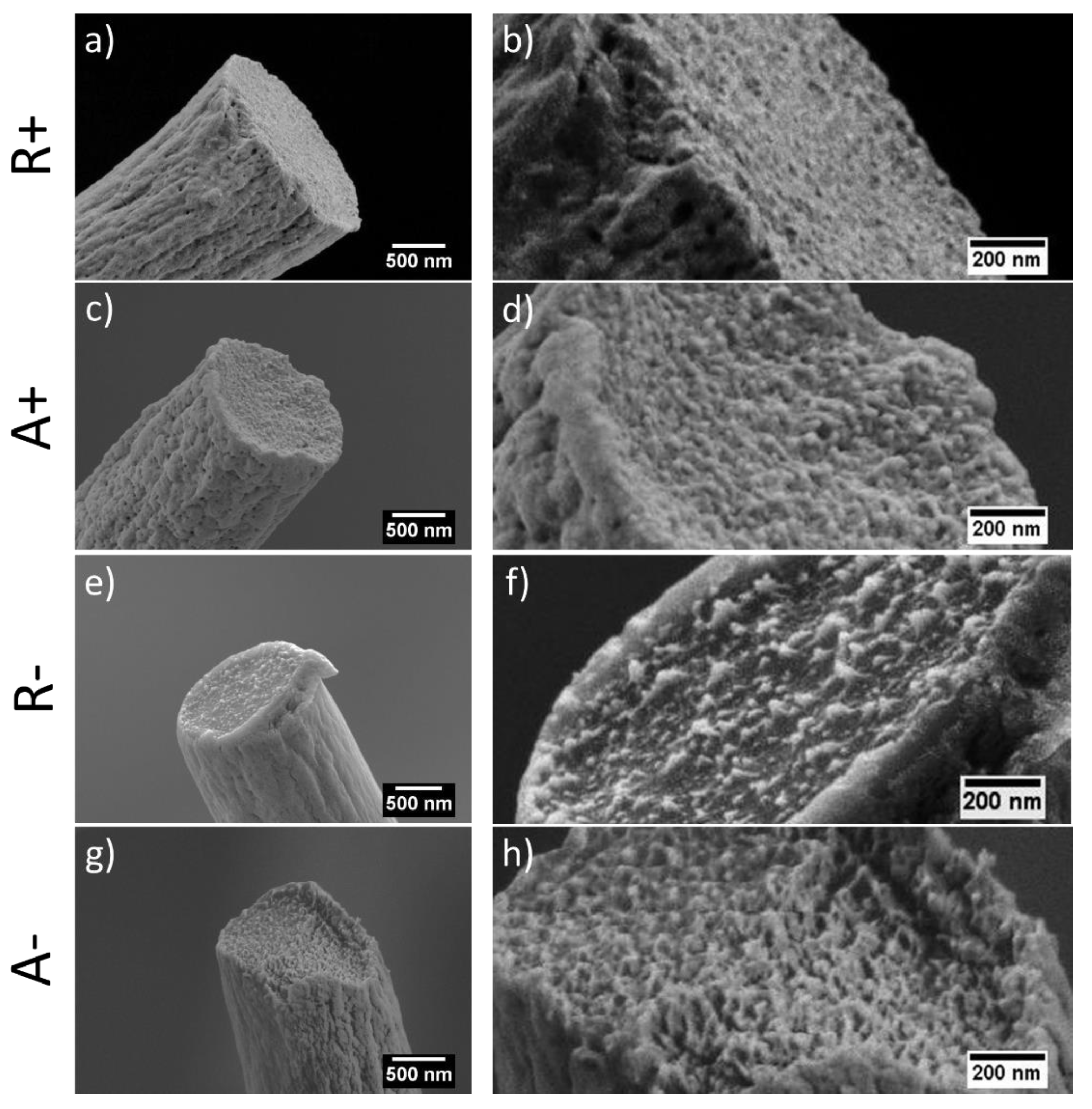 Materials 13 04169 g004