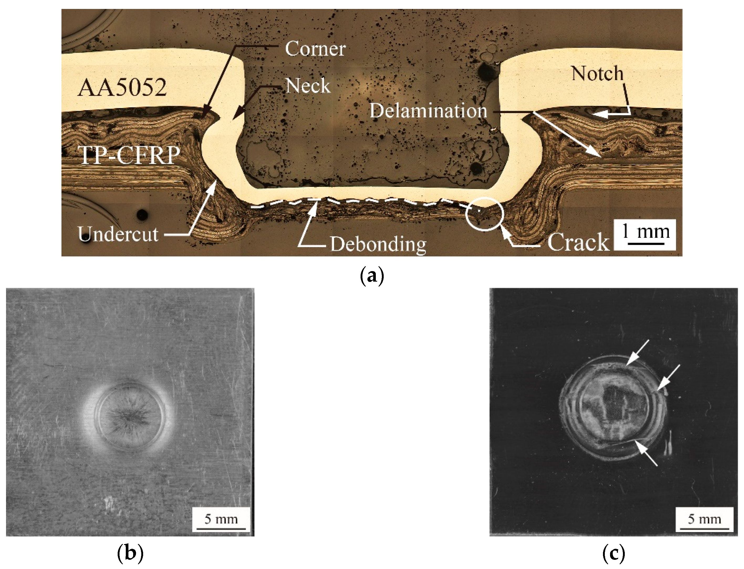 Materials 13 04170 g006