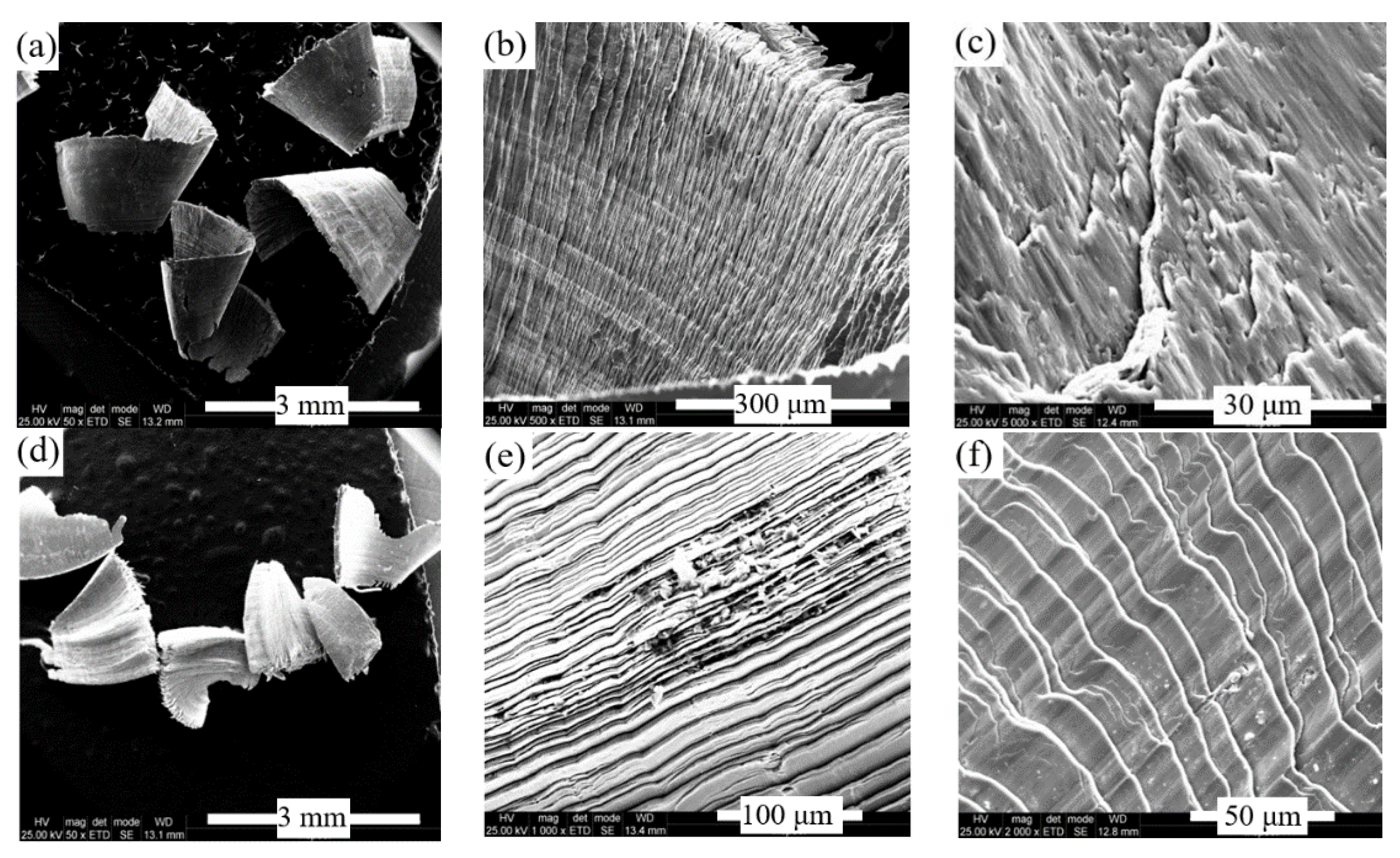 Materials 13 04181 g011