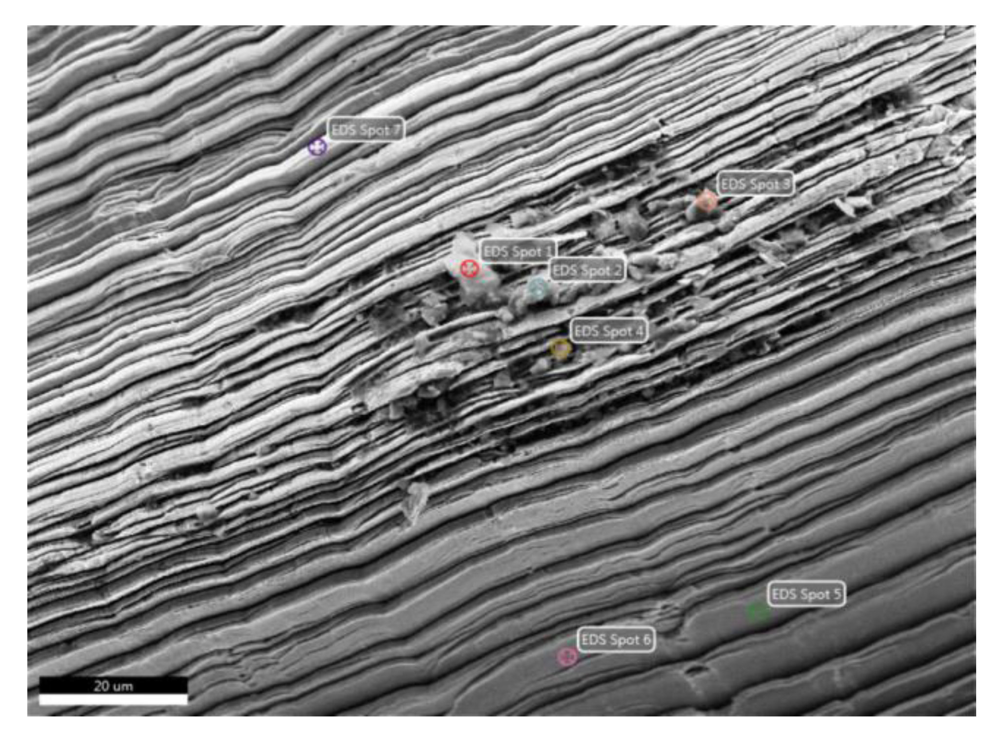 Materials 13 04181 g013