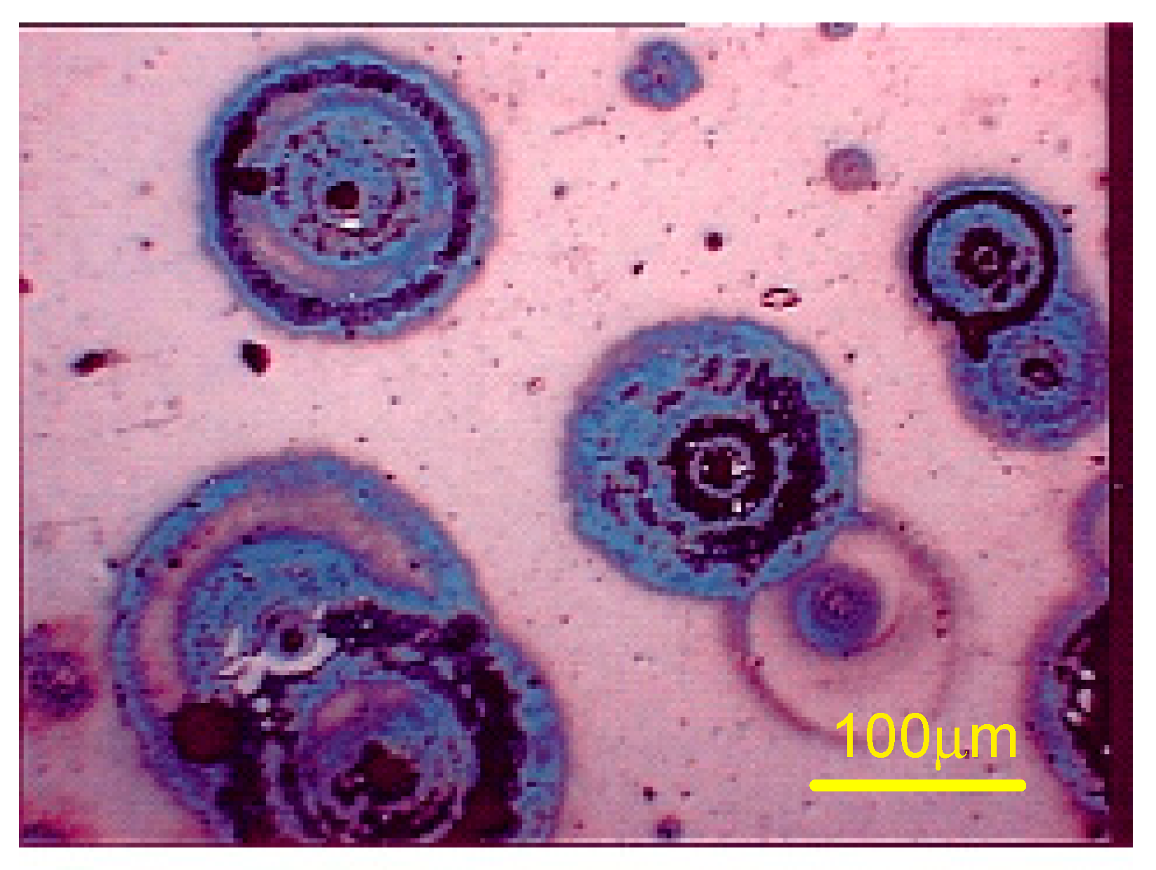 Materials 13 04187 g011