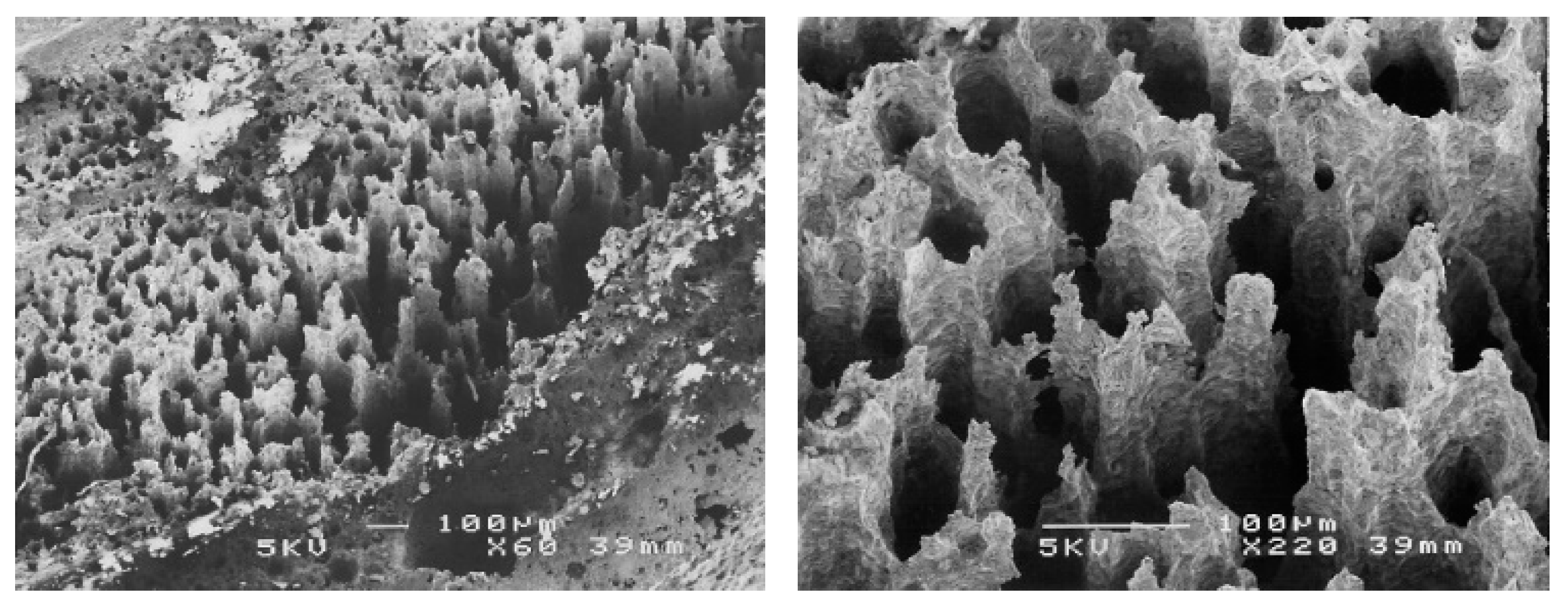 Materials 13 04187 g015