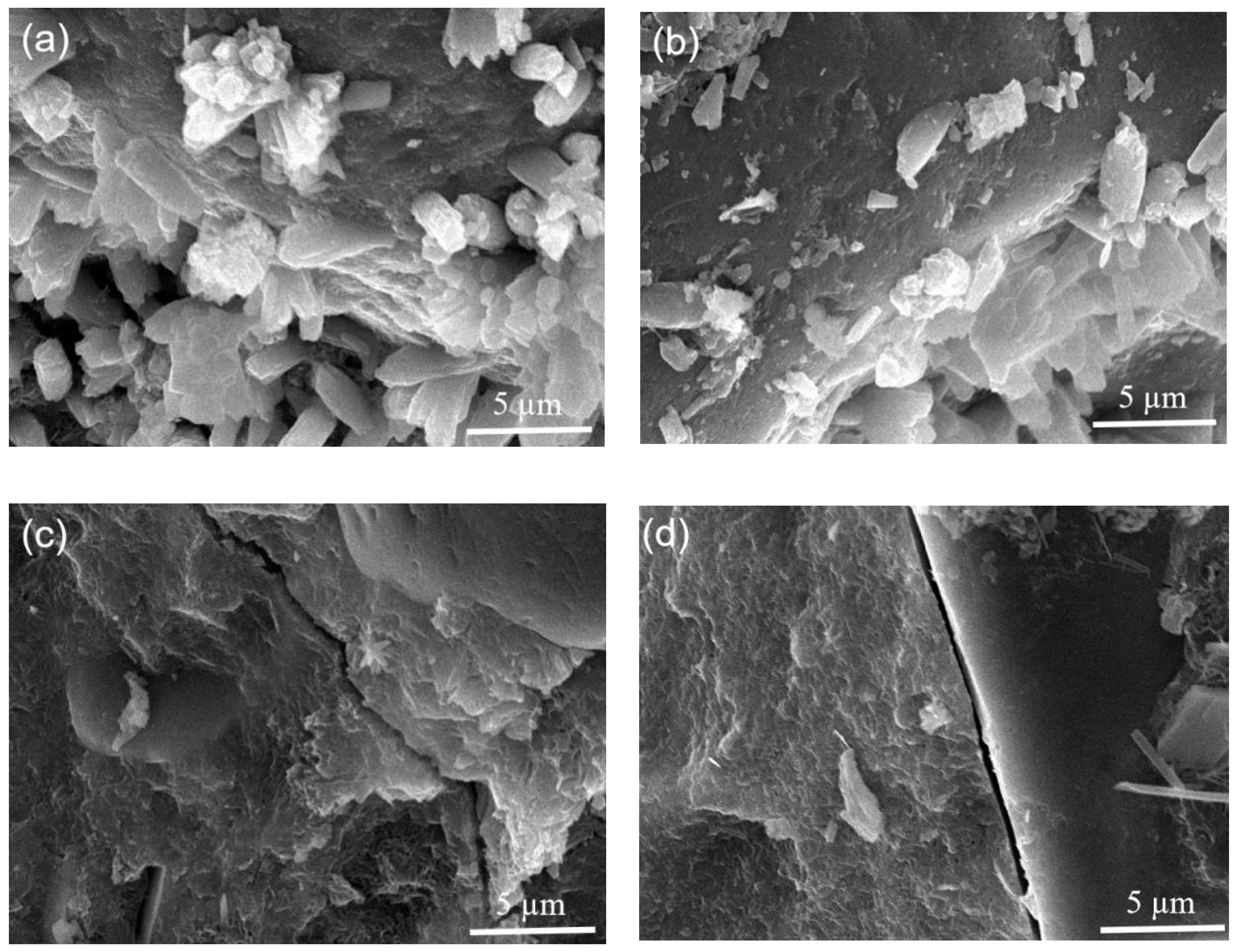 Materials 13 04191 g007