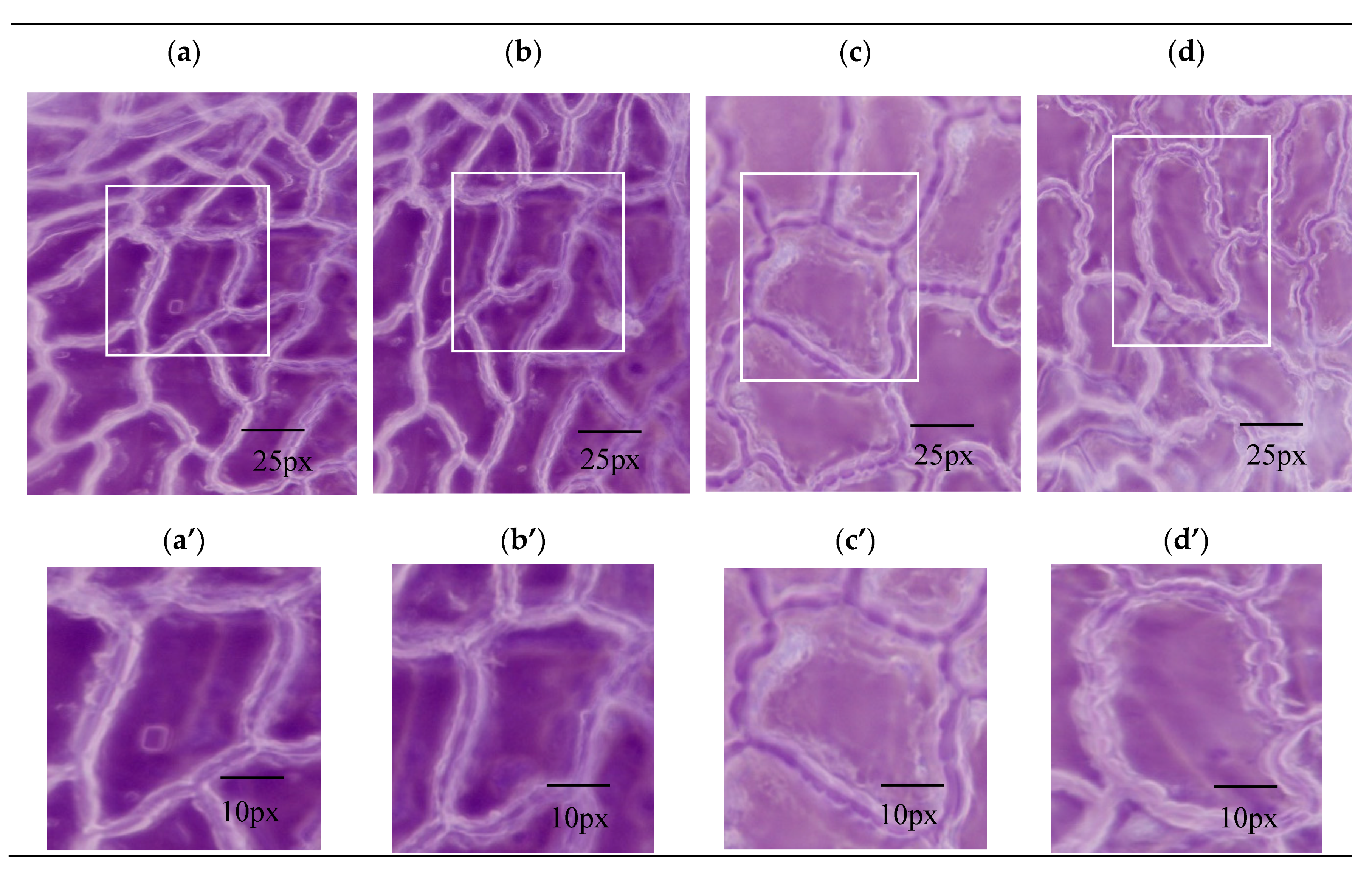 Materials 13 04192 g004