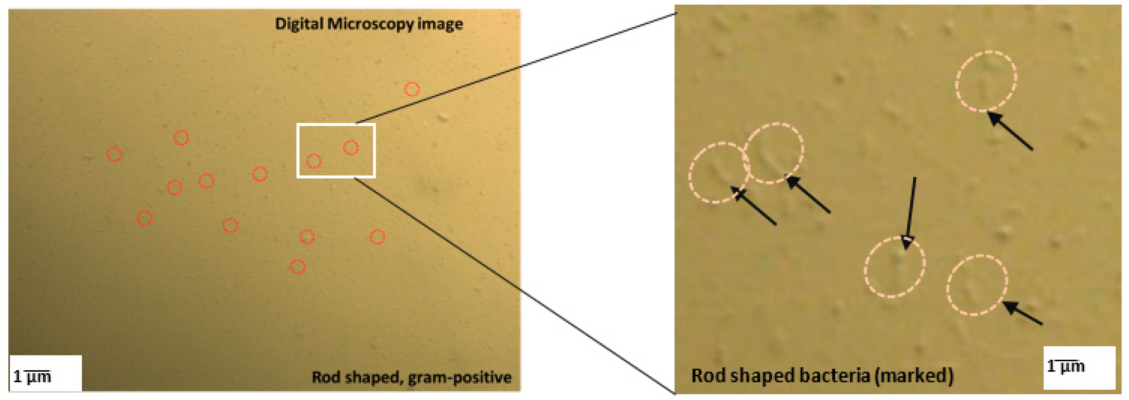 Materials 13 04198 g003