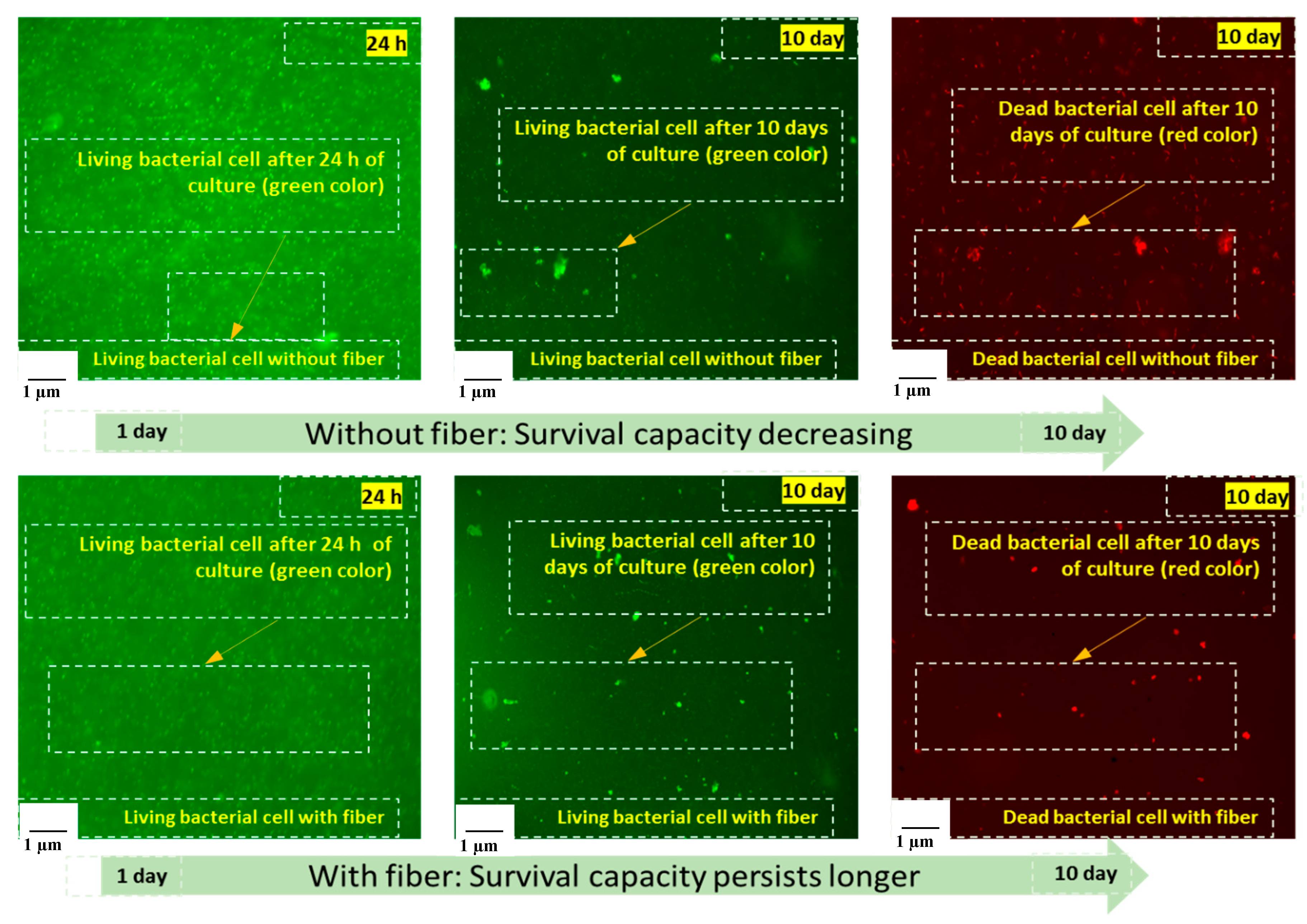 Materials 13 04198 g009