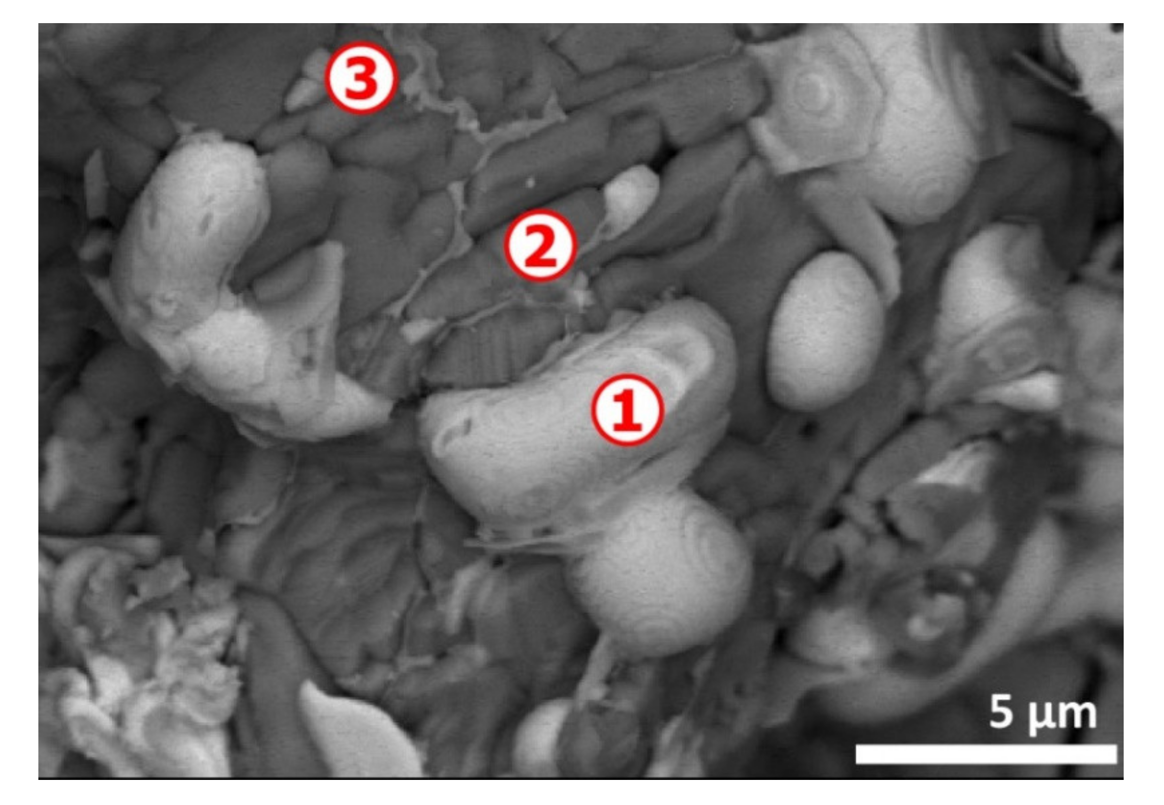 Materials 13 04203 g013