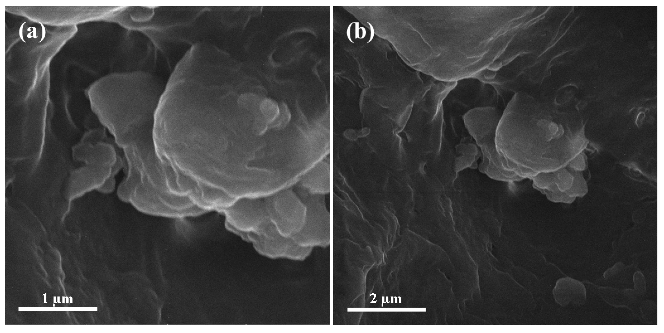 Materials 13 04207 g004 Materials 13 04207 g004
