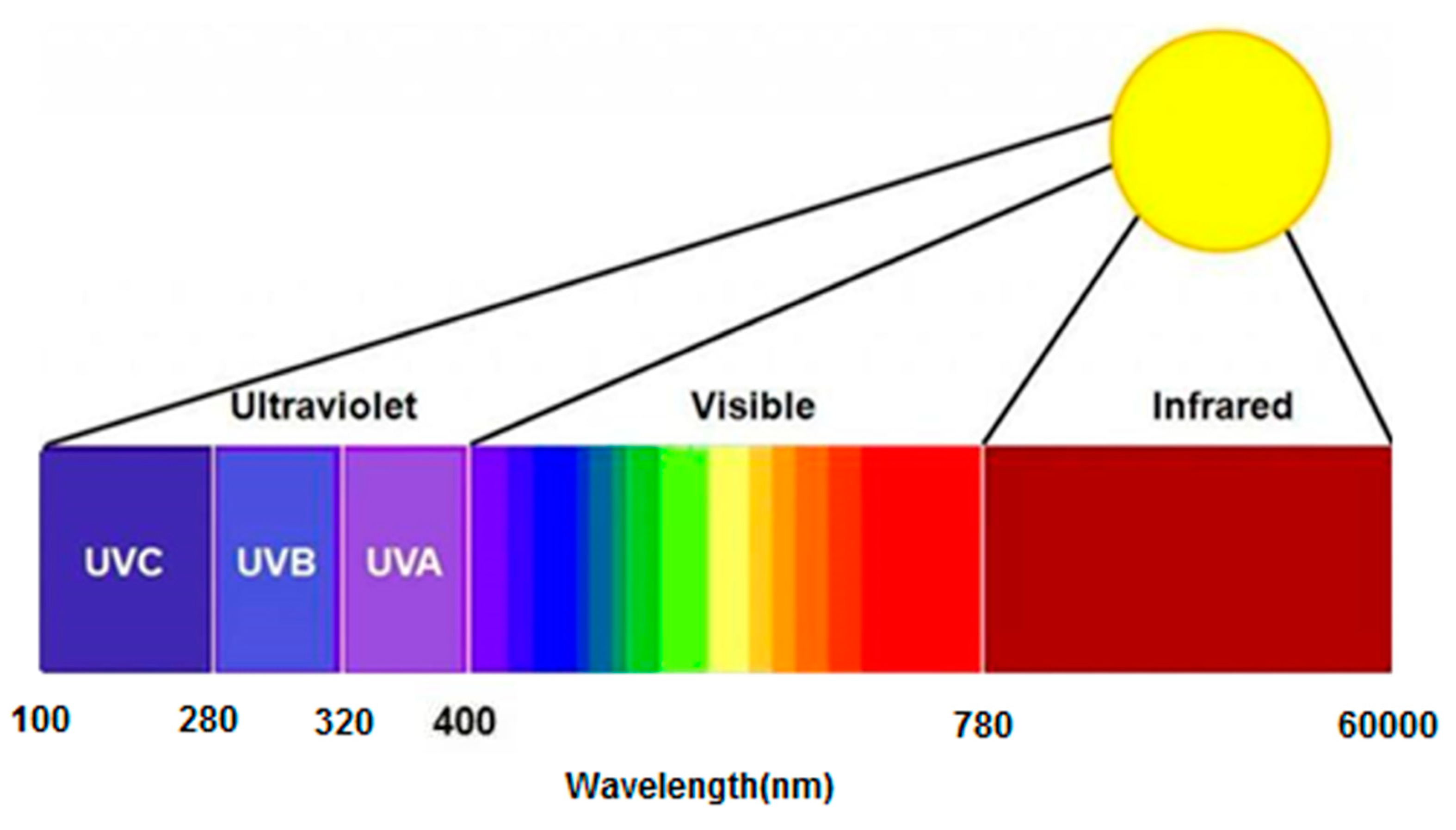Materials 13 04216 g002