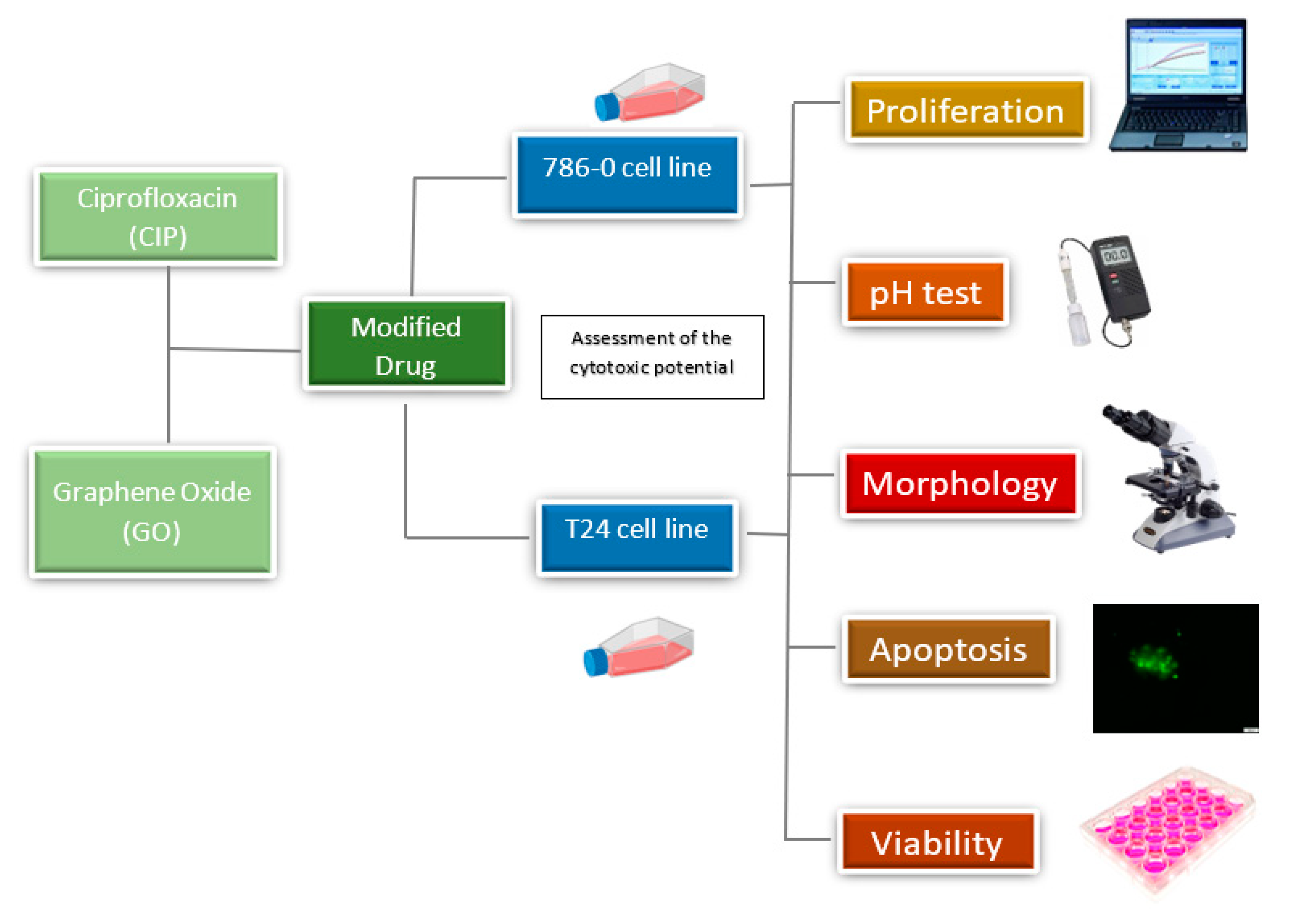 Materials 13 04224 g001