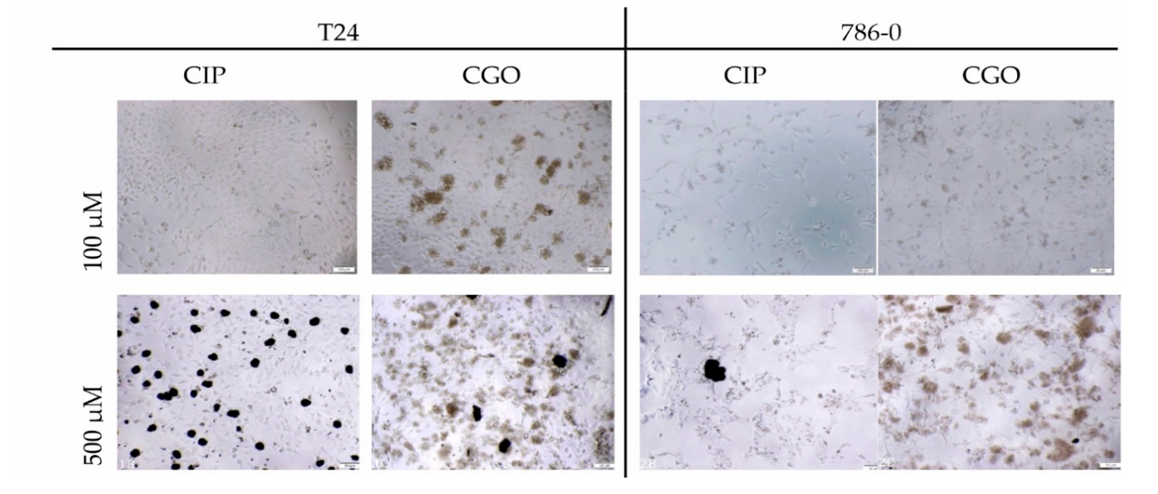 Materials 13 04224 g010