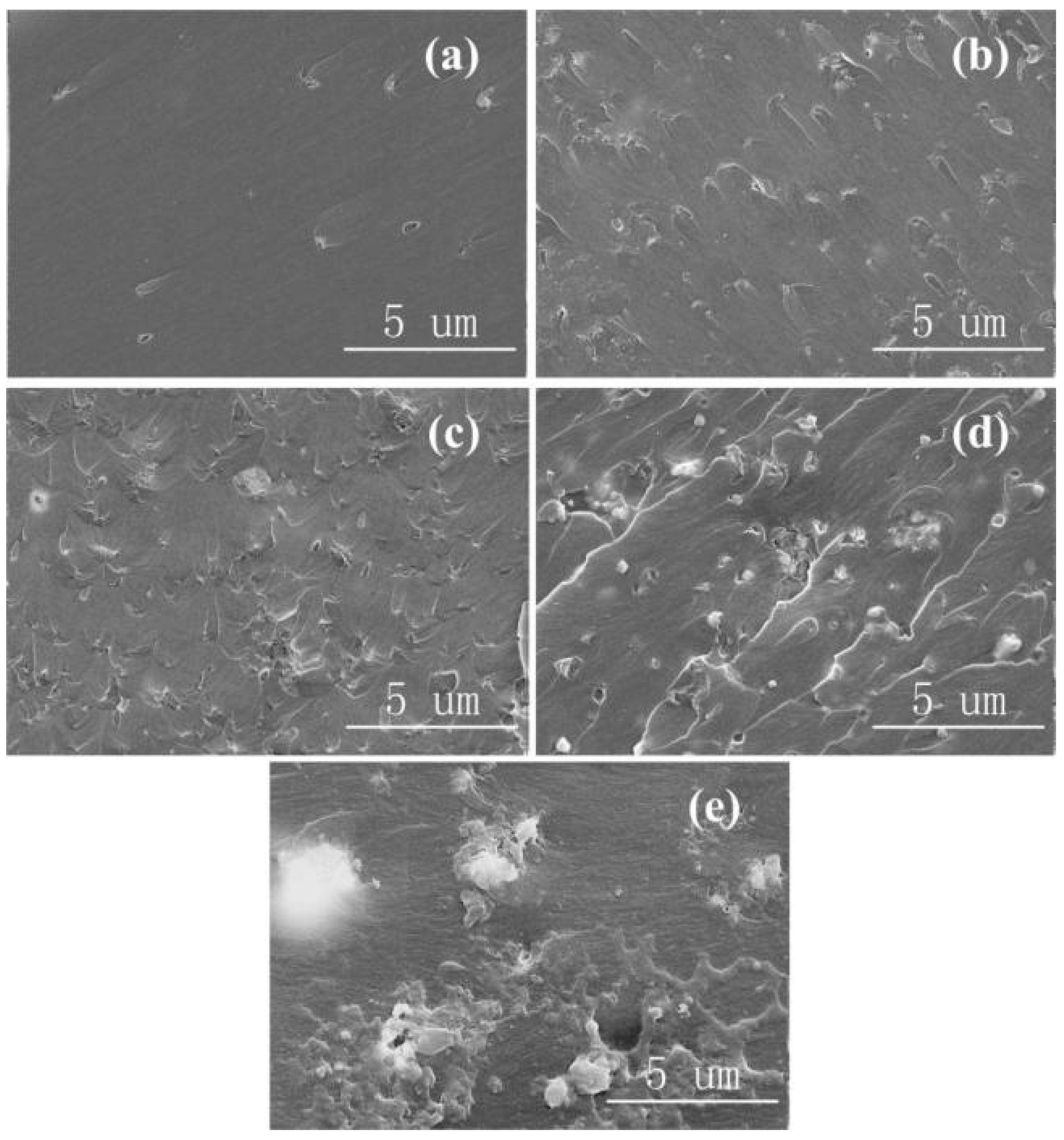 Materials 13 04235 g003 Materials 13 04235 g003