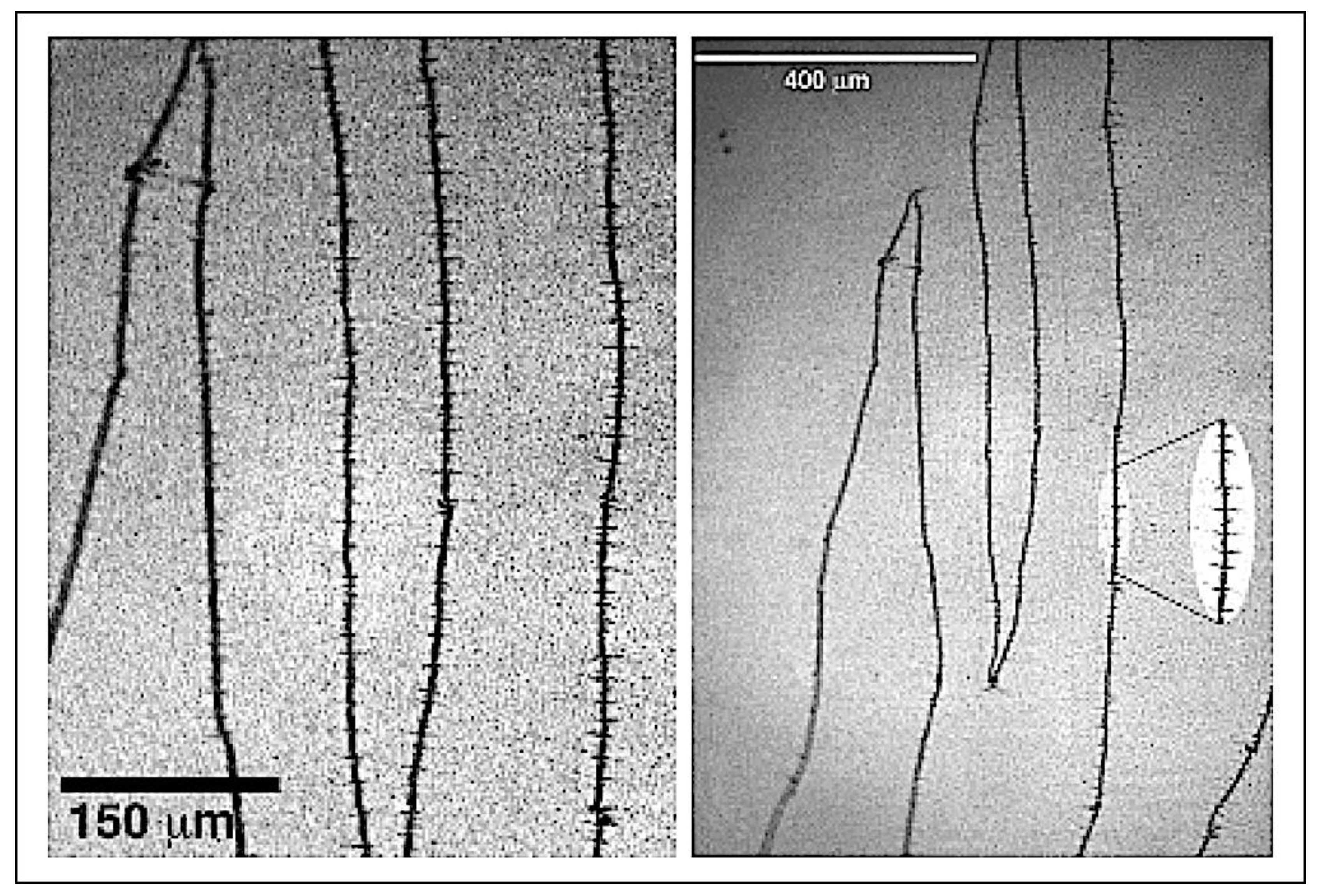 Materials 13 04249 g006