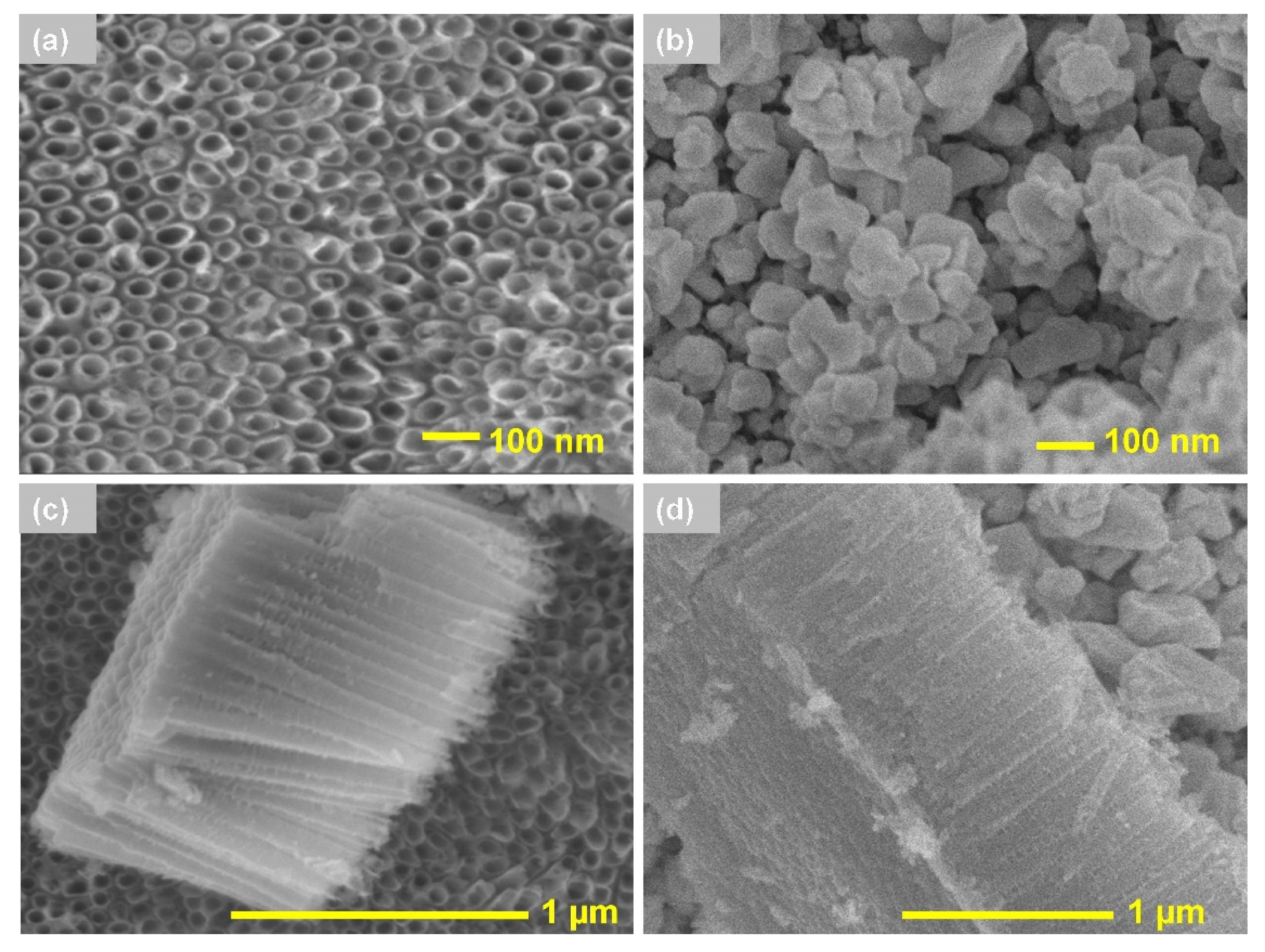 Materials 13 04269 g001 Materials 13 04269 g001