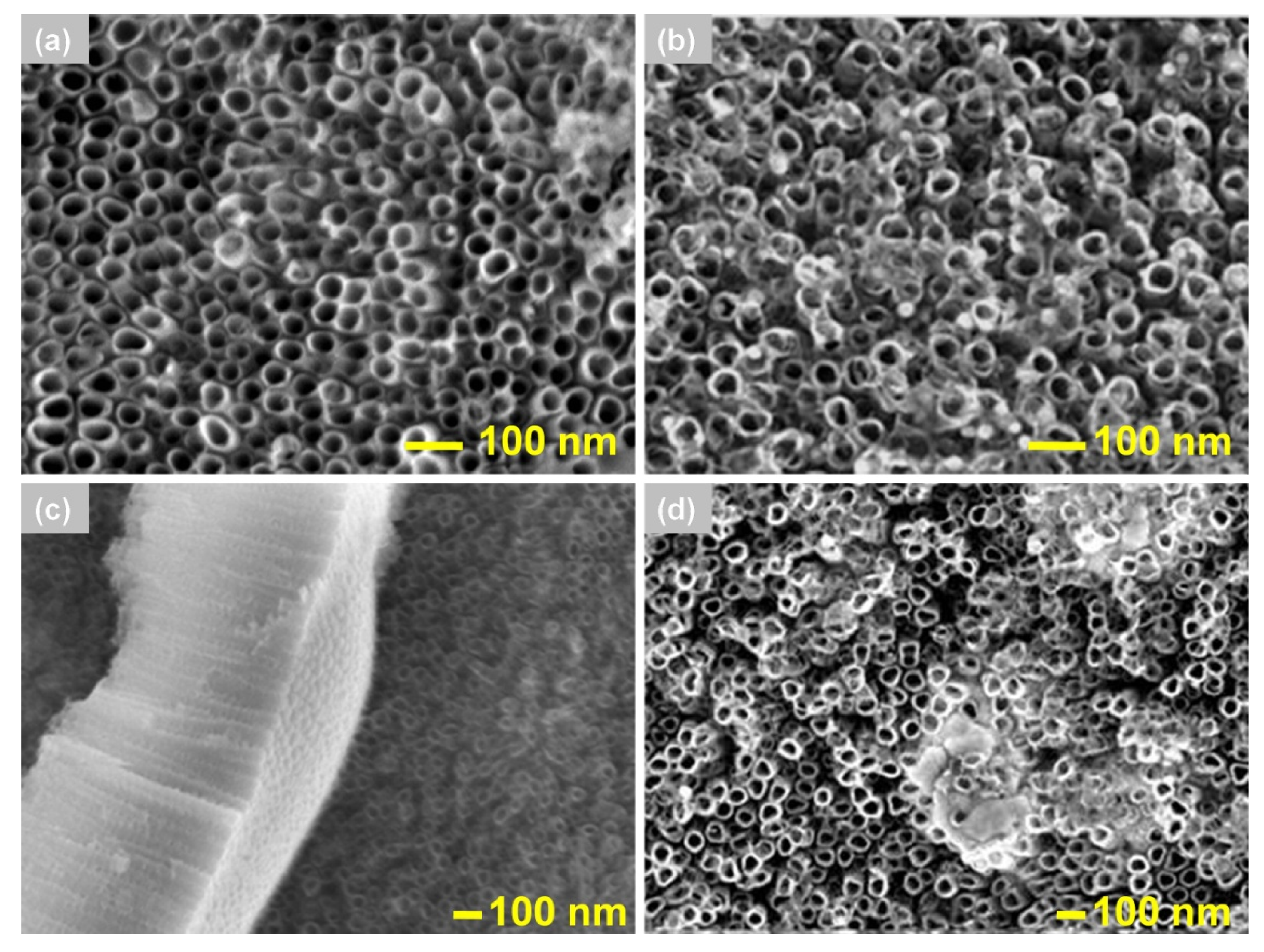 Materials 13 04269 g004 Materials 13 04269 g004