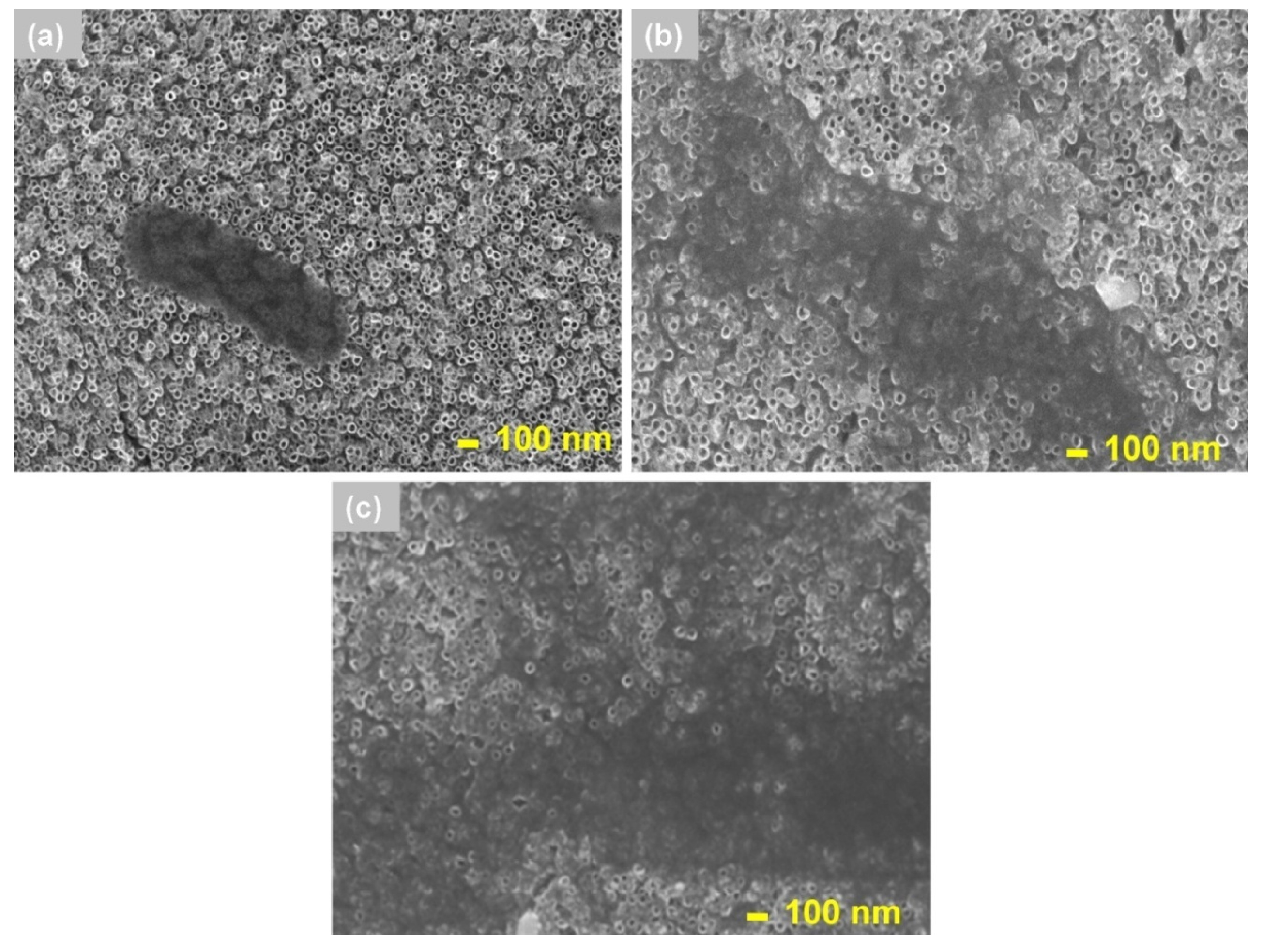 Materials 13 04269 g010 Materials 13 04269 g010